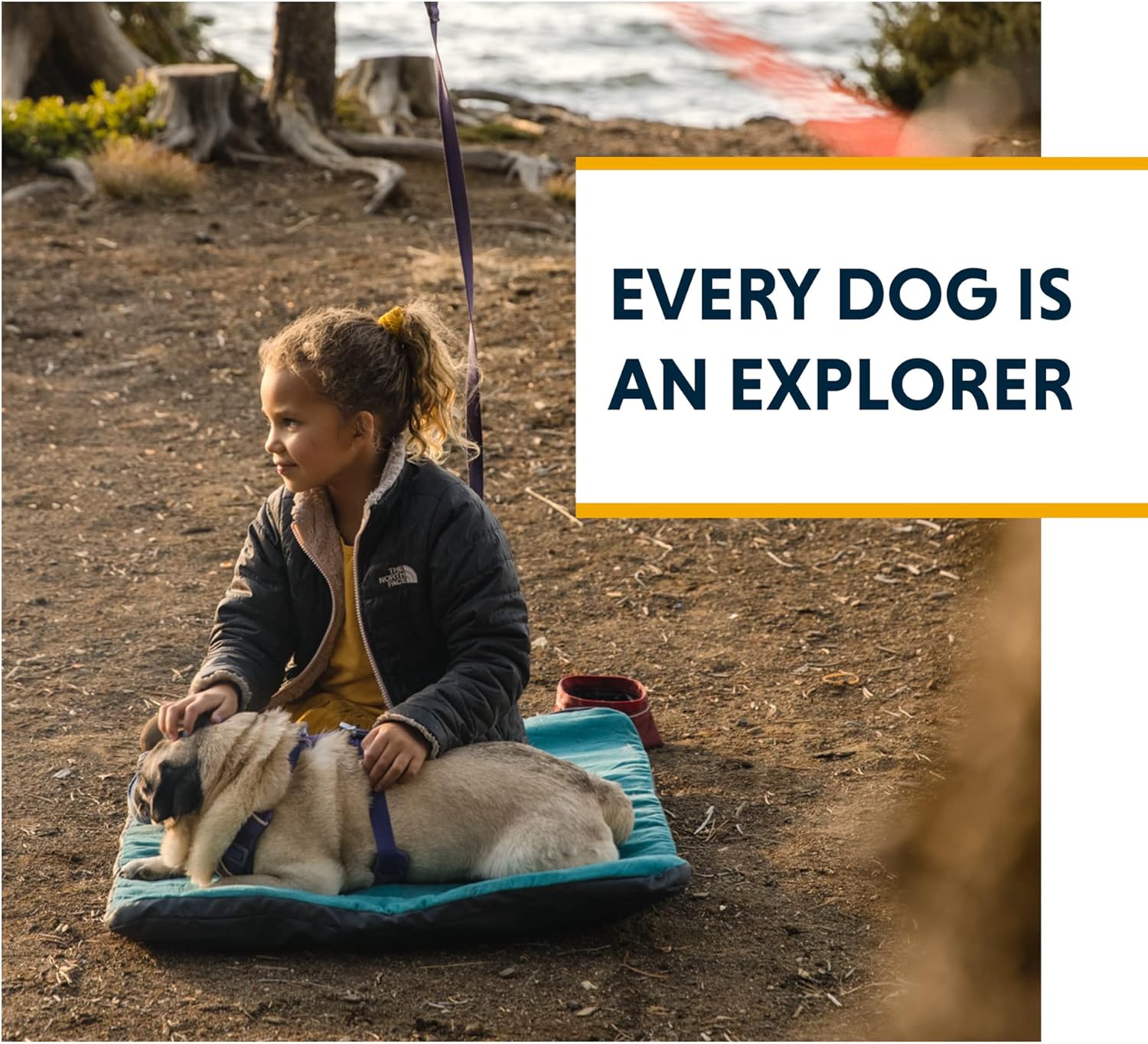 Portable Dog Hitching System for Campsites, Parks, Philippines Ubuy