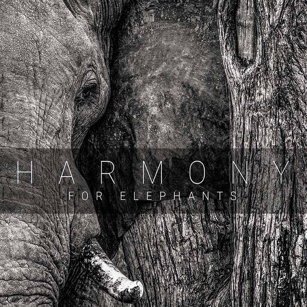 Harmony For Elephants: A Charity Album
