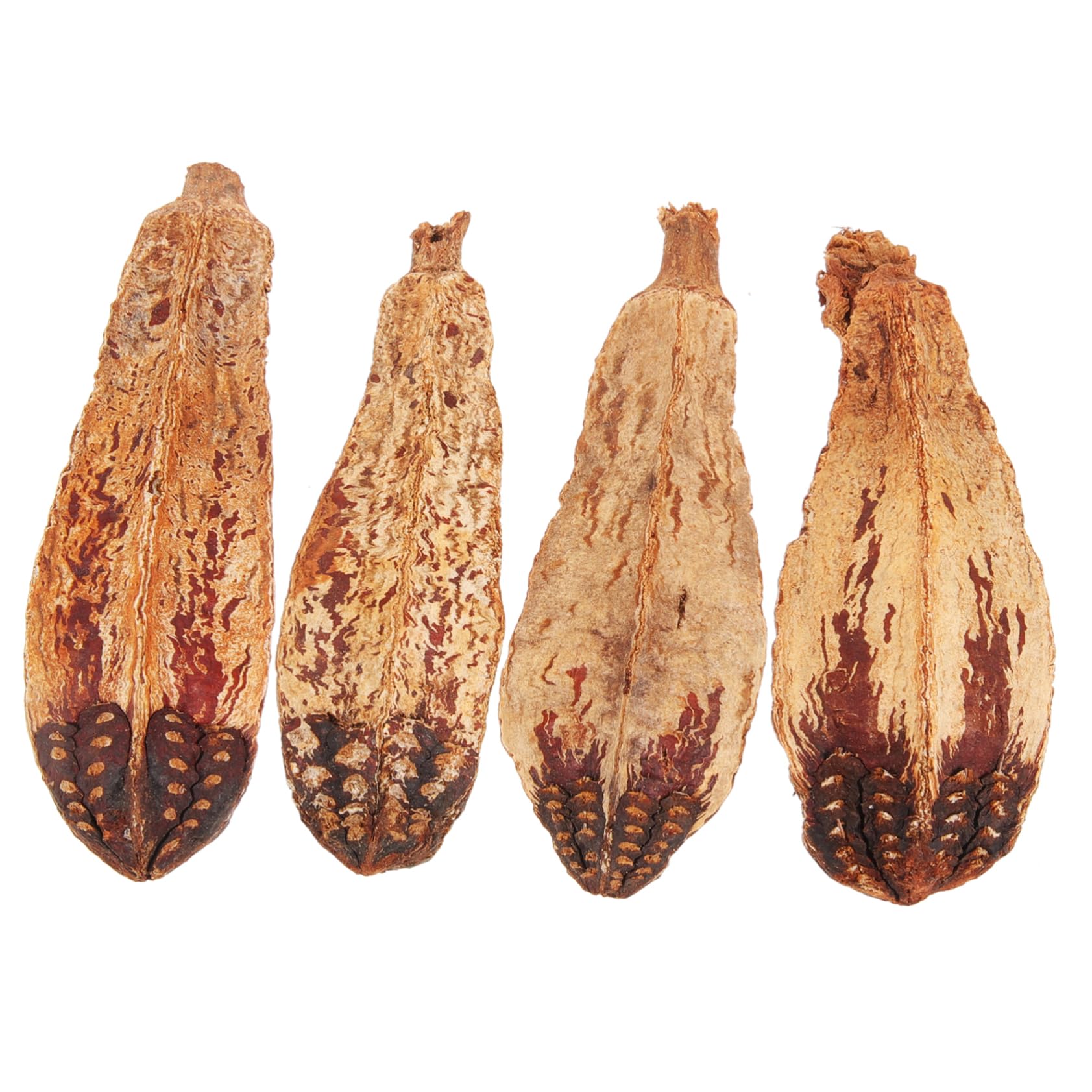 BESPORTBLE 20pezzi Giocattoli Da Masticare Per Uccelli Materiale Naturale Giochi Per Pappagalli e Parrocchetti Accessori Per Foraggiare e Divertirsi
