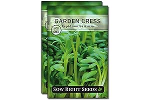 Sow Right Seeds Garden Cress Seeds for Planting - Non-GMO Heirloom Herb...