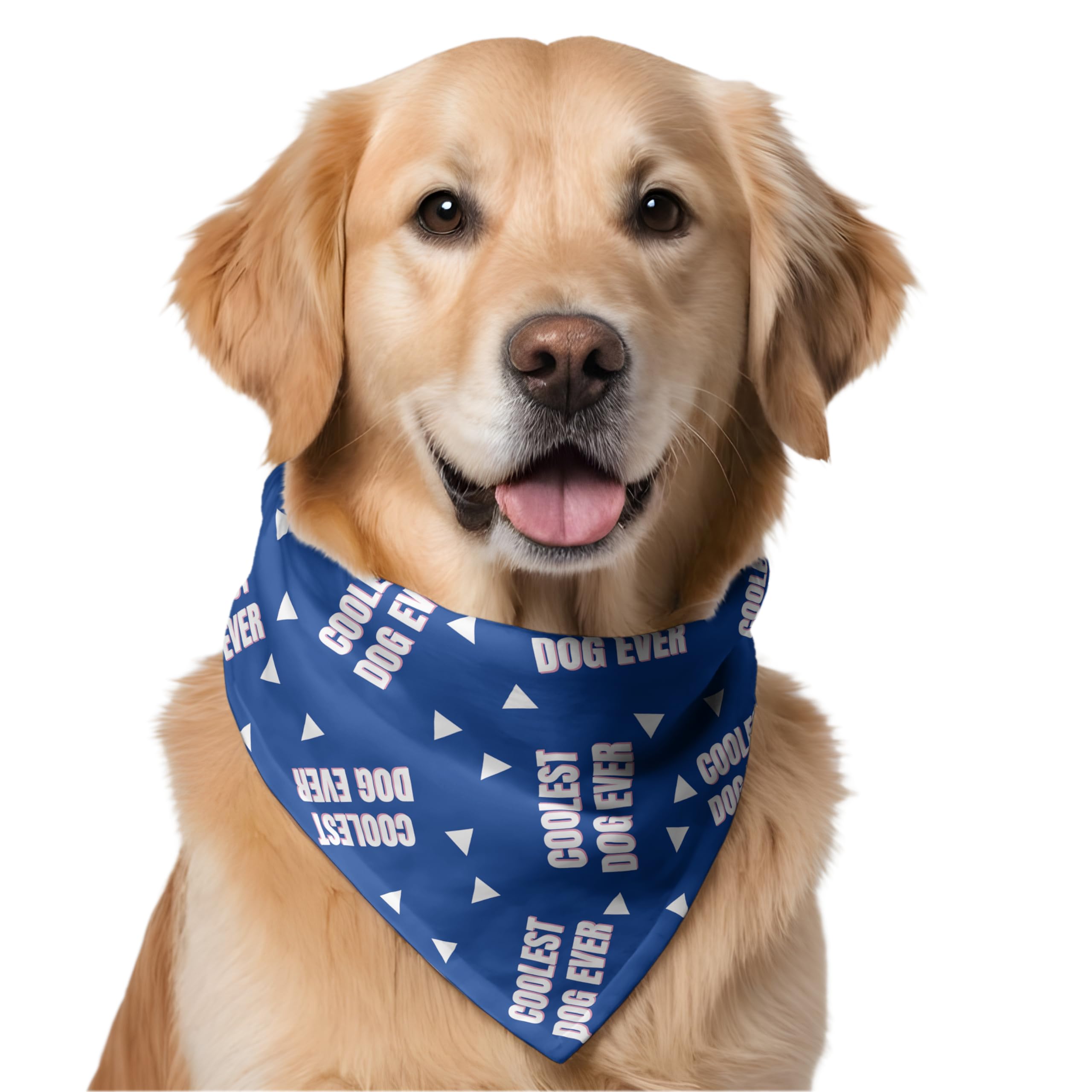 W Brings Coolest Dog Ever Dog Bandana/Scarf | This Stunning Gorgeous Design Dog Bandana Scarf is Perfect Styling Accessory for Dogs Large, Medium & Small. One Size Fits All. (B0C72FCS7X) Amazon Price History, Amazon Price Tracker