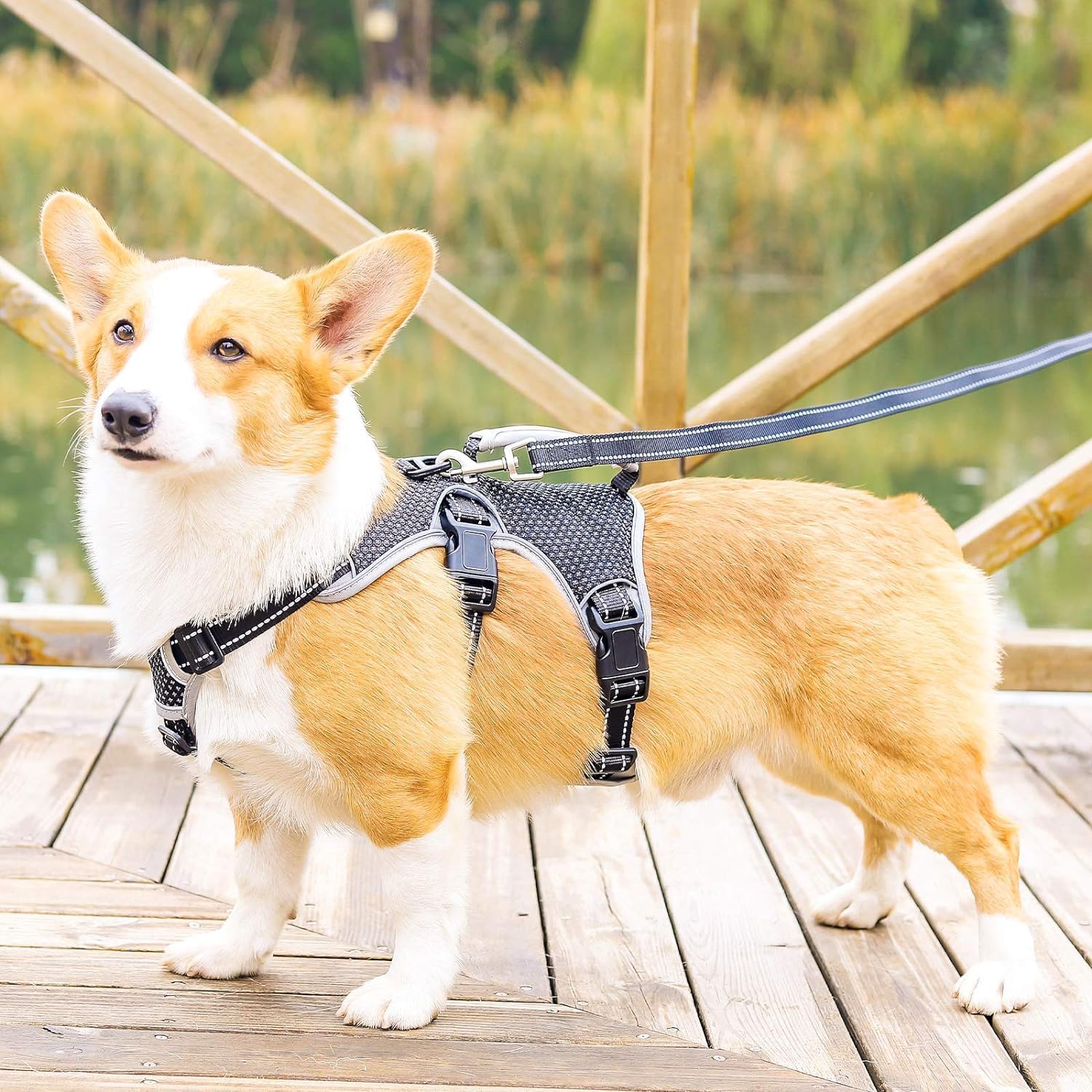 Arnés de Apoyo Multiusos para Perro, a Prueba de Escape, Chaleco Reflectante Ajustable con Mango Duradero, arnés para Perros Grandes y Activos (Negro, L)