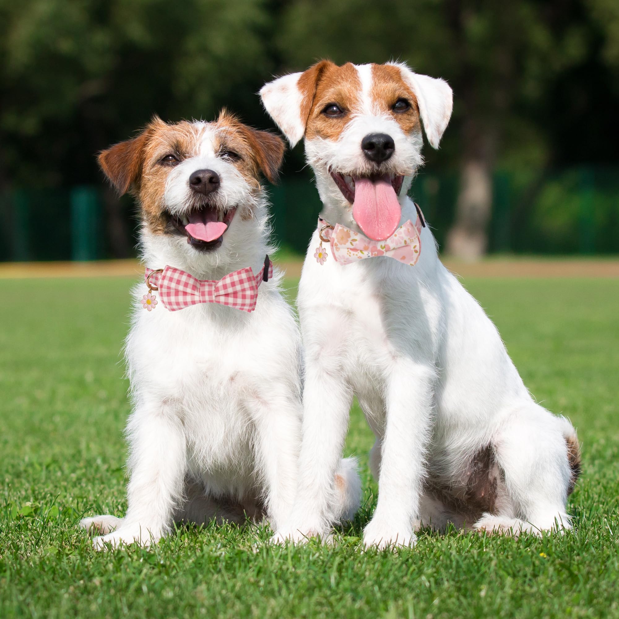 ADOGGYGO Pink Floral Dog Collar with Removable Bow, Adjustable Pink Plaid Flower Collars for Small Medium Large Girls Dogs (Small)