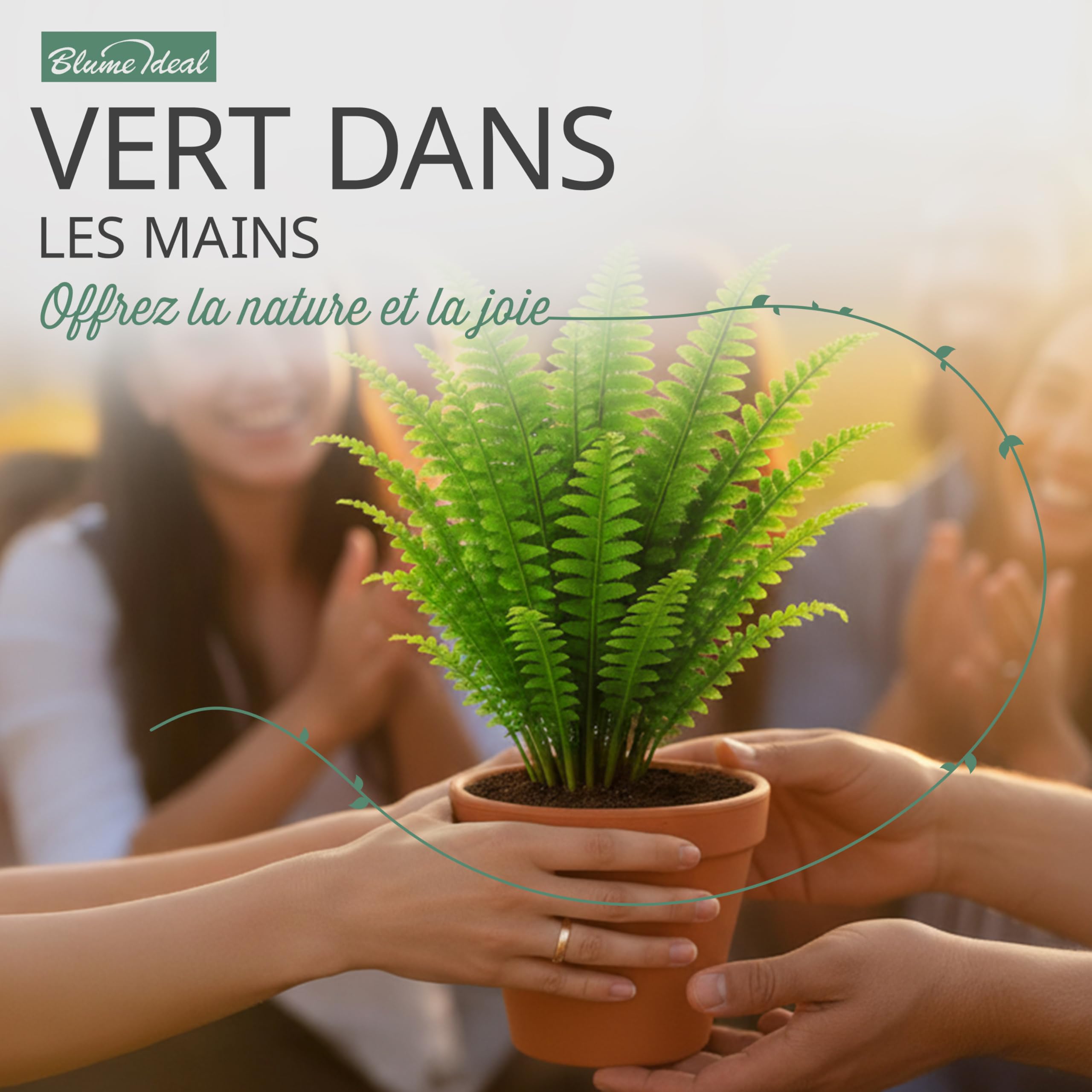 Lot de 4 plantes surprises | +/- 40-70cm | Pot de ø 12-15cm | Plantes pour la maison et le bureau, qualité du professionnel, livraison rapide, végétalisation intérieure