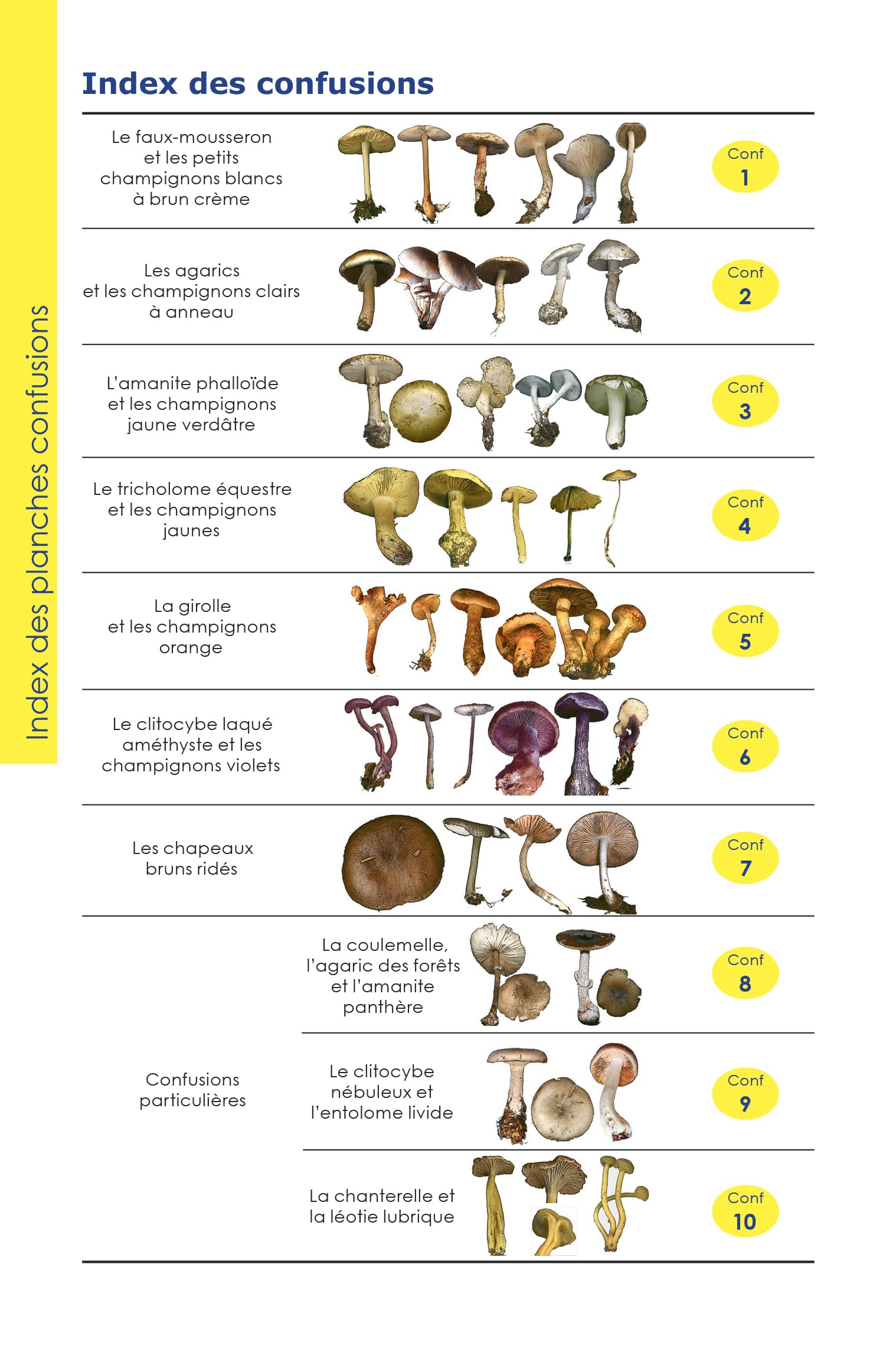 Identifier les champignons: Guide de poche de mycologie officinale