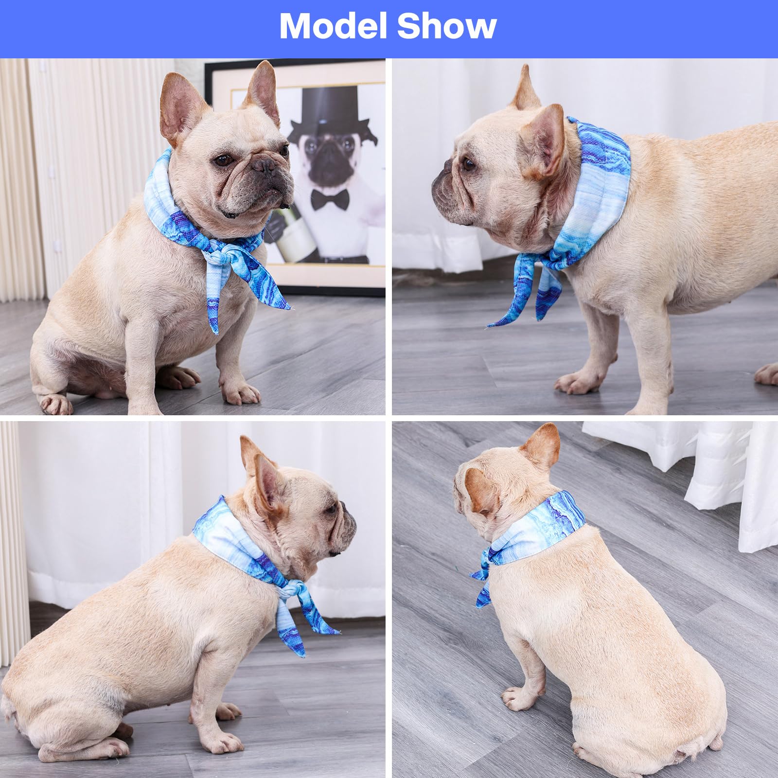 Collare di Raffreddamento per Cani, Bandana Rinfrescante per Cani, Sciarpa Rinfrescante per Animali Domestici, Traspirante Bandana di Raffreddamento Istantaneo per Cani di Piccola Media e Grande (M)