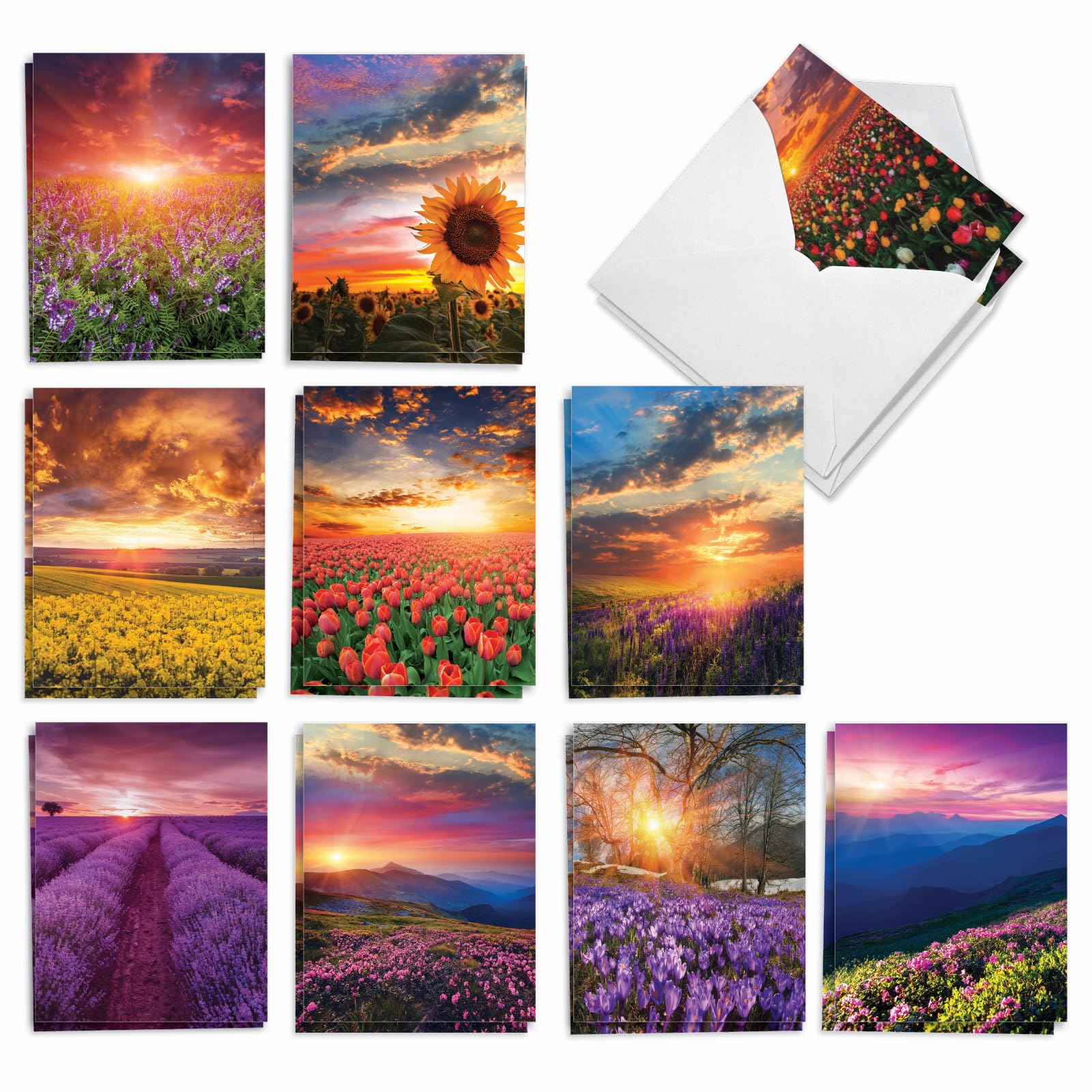 The Best Card Company - 20 Landscape Nature Note Cards Blank (4 x 5.12 Inch) (10 Designs, 2 Each) - Blooming Sunsets AM9263OCB-B2x10