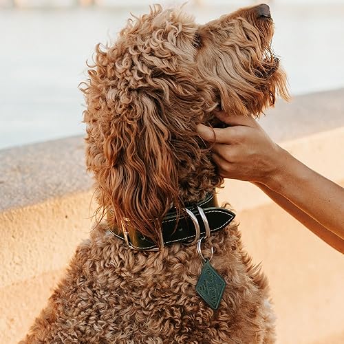 Miniatura 3 de Personalized Leather Dog Collar - Dog Collar, Leather Dog Collar, Personalized, Personalized Dog, Rustic, Puppy Collar, Cat Collar, Dog Collar