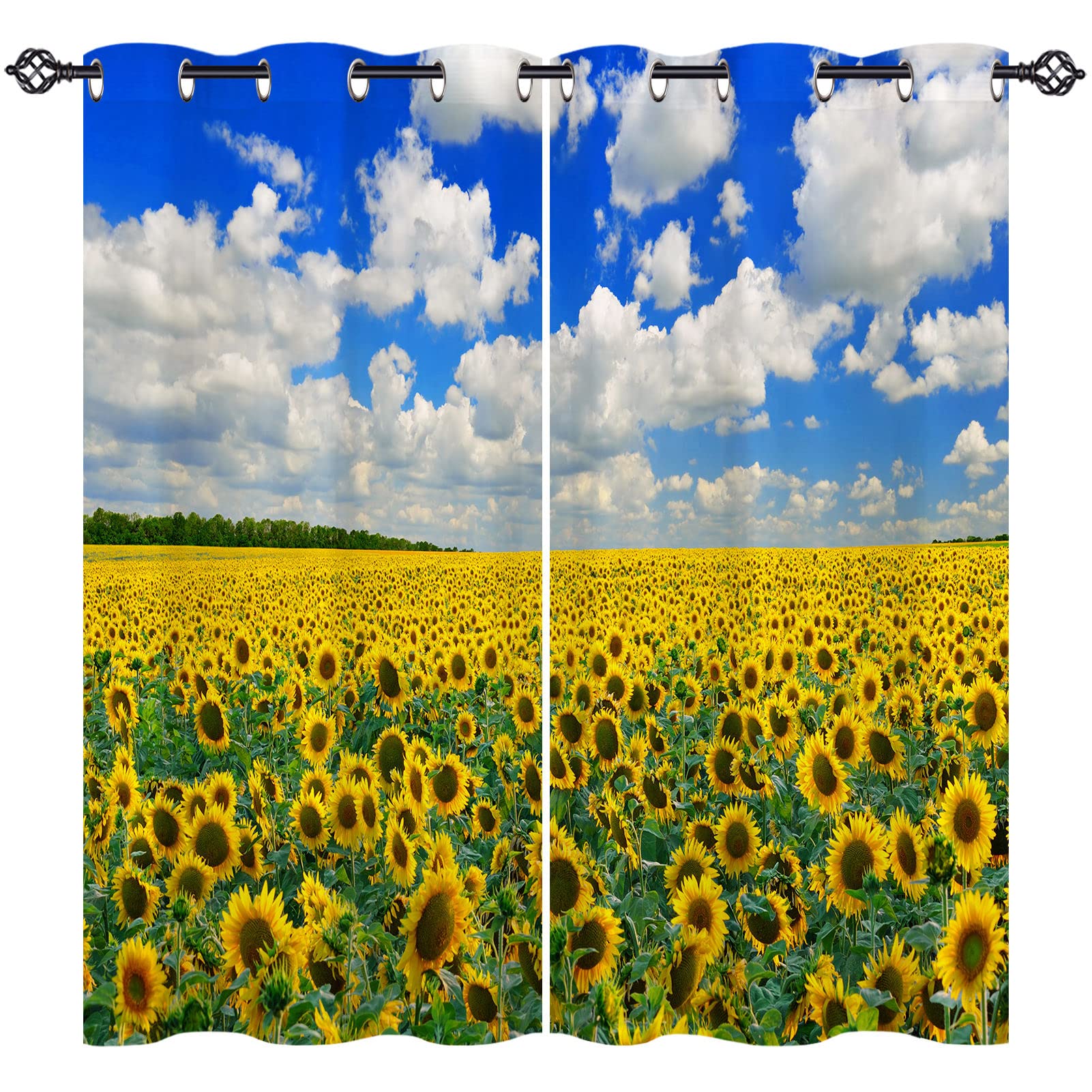 ANHOPE Sunflower Curtains Eyelet 80% Blackout Room Darkening Curtains with Yellow Flower Field Print Pattern Thermal Insulated Privacy Window Drapes for Bedroom Living Room 46 x 54 Inch Drop 2 Panels
