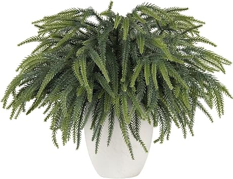HOHOTIME 30 Pcs Norfolk Pine Stems, Christmas Greenery Branches for Vase, Artificial Pine Picks, Fake Pine Decoration, Faux Sprigs for Garland Wreath Tree Home DIY Xmas Decor