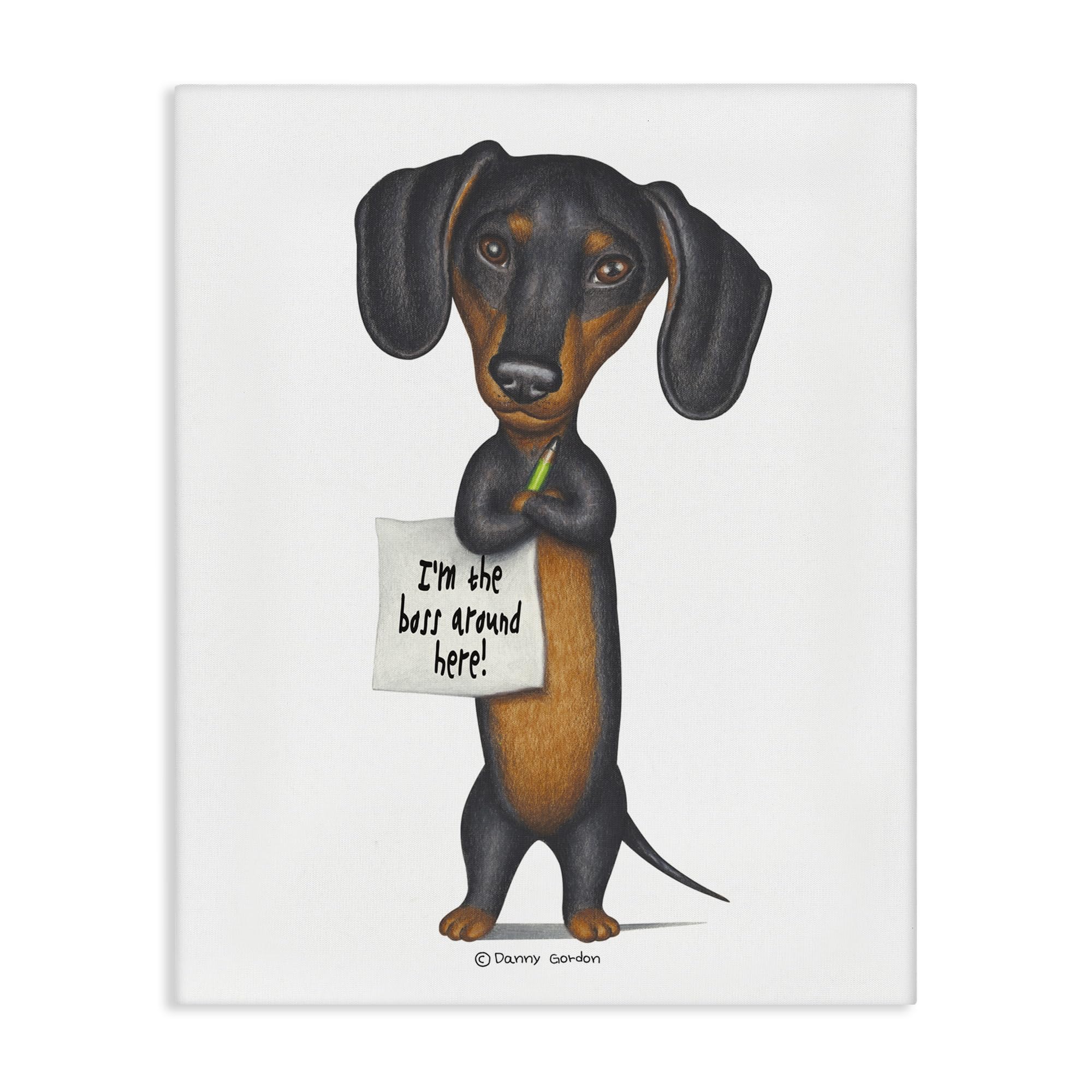 Stupell Industries 'Funny Dachshund Boss', Canvas Art, 36 x 48 Inches, Easy to Hang and Sturdy, Made in USA, by Danny Gordan