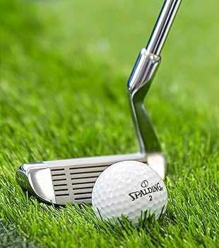 HONMA PARKGOLF limited Lefty 22sm 2個セット NEO Mallet Putter, SL-005 – Honma Golf