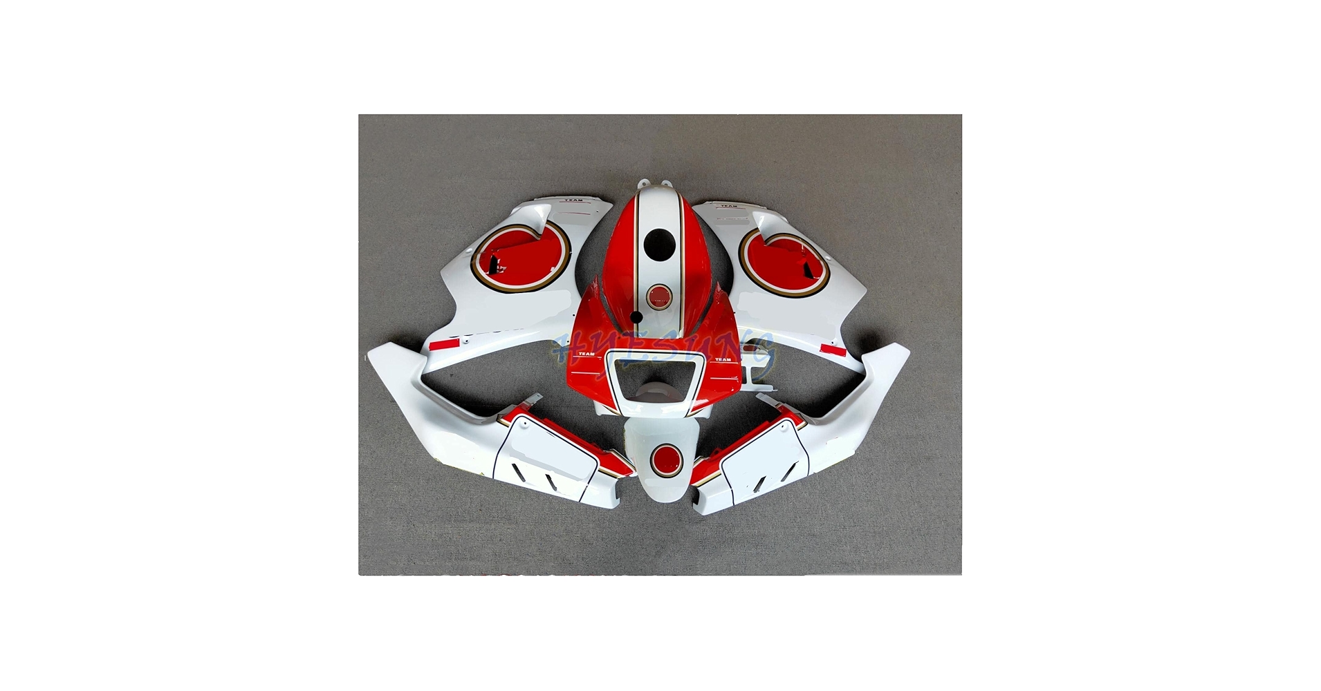 Amazon.co.jp: HYESUNG バイク外装 適合車種RGV250 VJ22M型以降