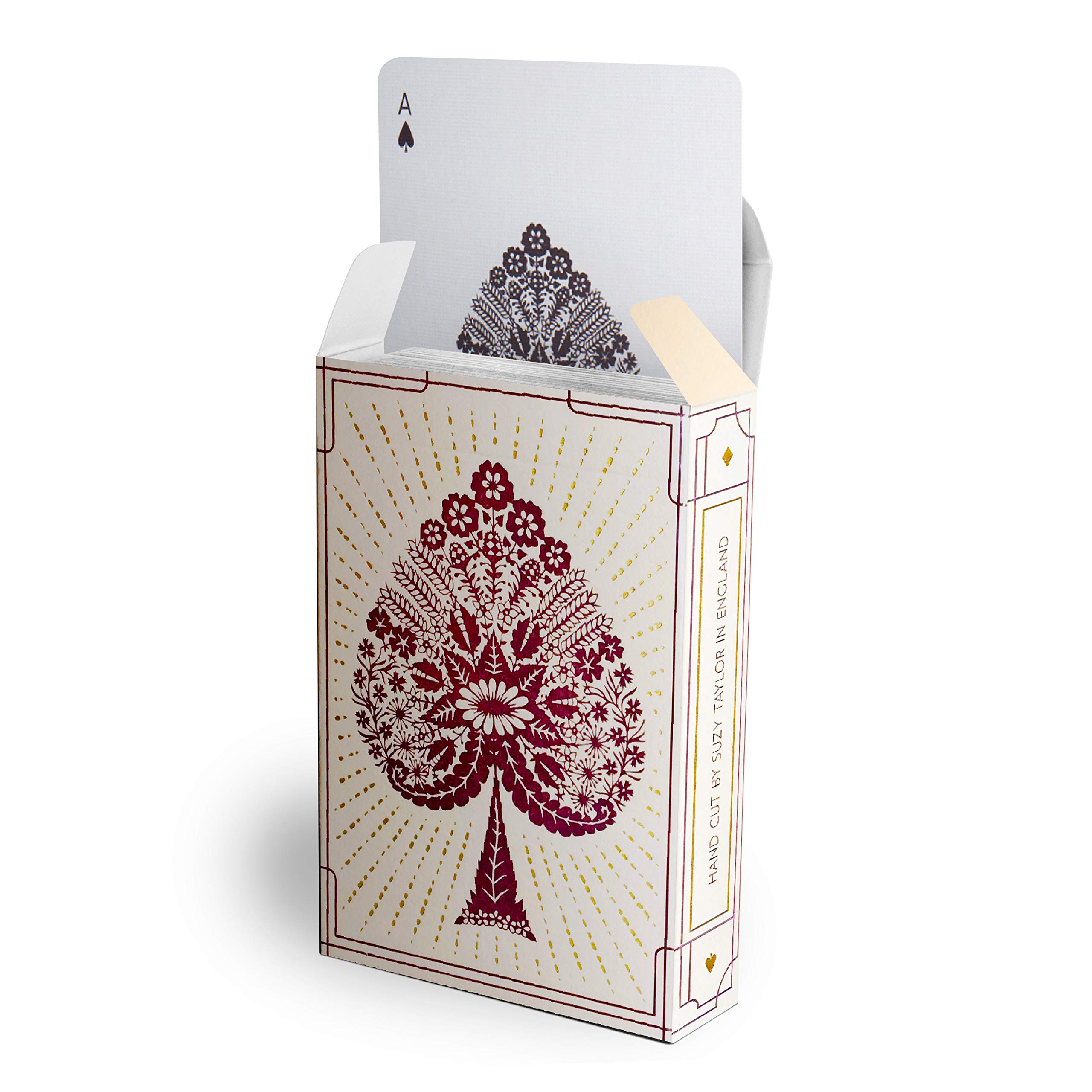 Papercuts by Suzy Taylor