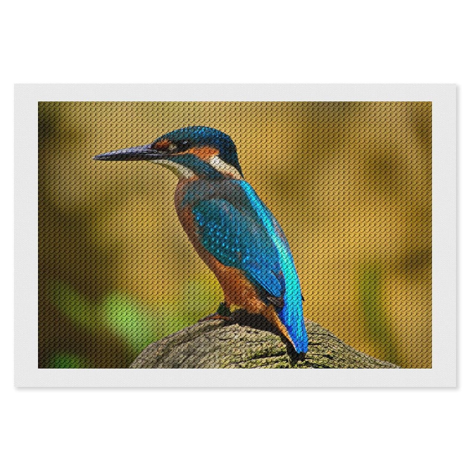 Amazon.co.jp: ダイヤモンドアート カワセミ 鳥類 ダイヤモンド絵画 5D