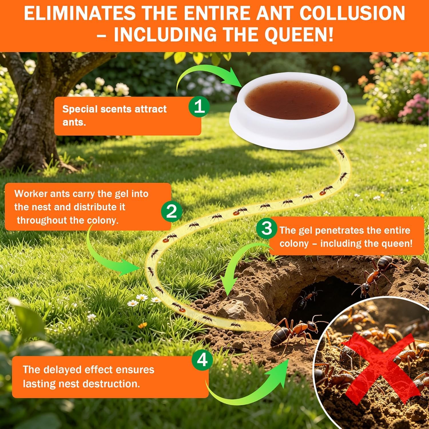 60 Pack Ant Bait Stations Indoor & Outdoor Use, Mess-Free Ant Traps for Home Kitchen Garden - Image 2