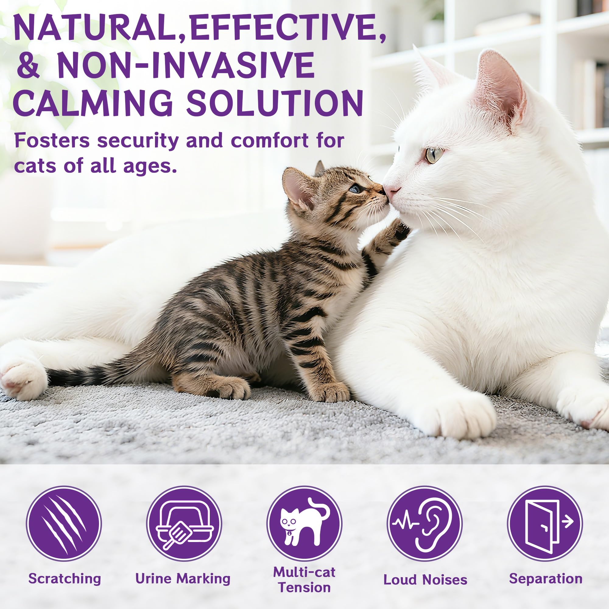 6 IN 1 Katze Pheromon Beruhigende Diffusor (2 Stecker + 4 Refills), Pheromon Diffusor für Katzen, Angst lindern, Helfen, Kämpfe zu reduzieren, Sprühen & Kratzern, Drogenfrei & Geruchlos Sicher 120 Tag - 2
