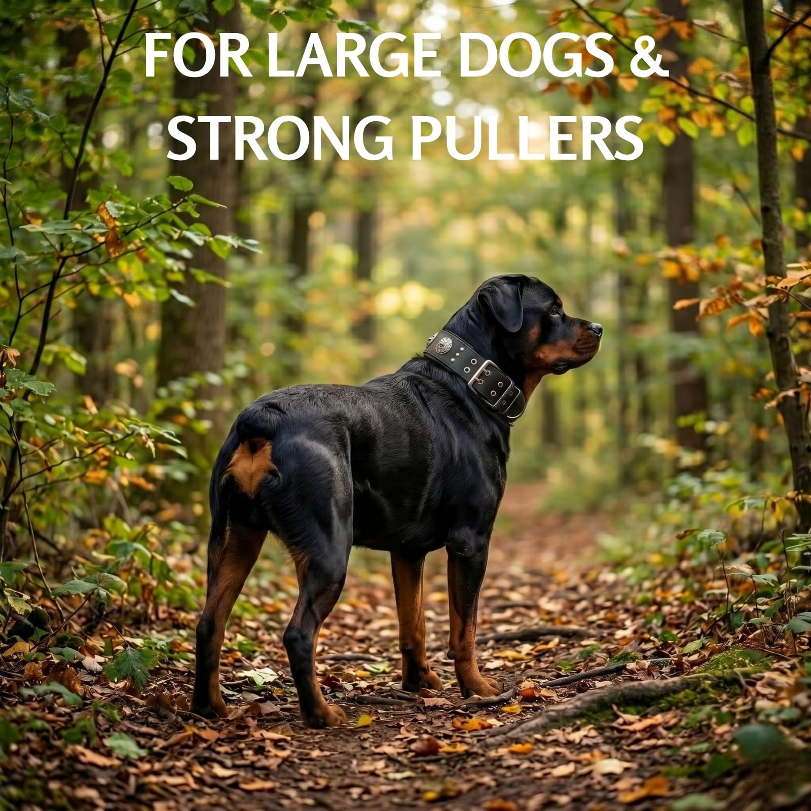 ADITYNA Hundehalsband aus Leder, mit Nieten, Größe XL, robustes Hundehalsband für extra große Hunde mit Polsterung, 4,4 cm breit, verstellbar 58,4 cm – 71,1 cm, für Deutsche Dogge, Cane Corso