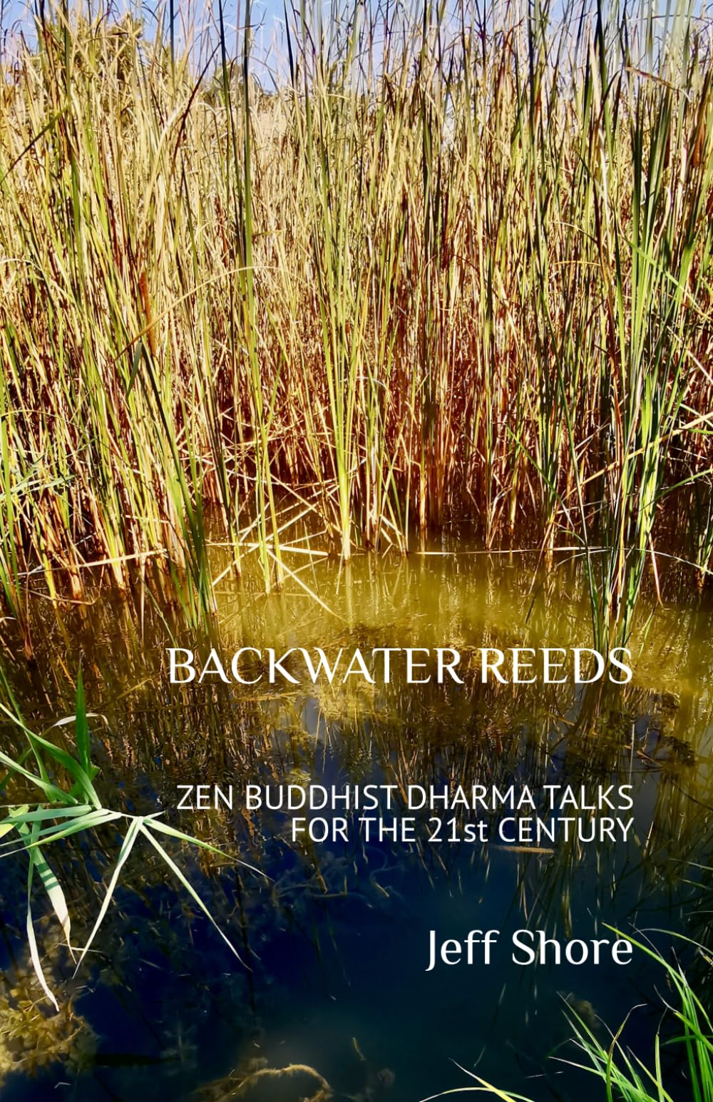 BACKWATER REEDS: ZEN BUDDHIST DHARMA TALKS FOR THE 21st CENTURY