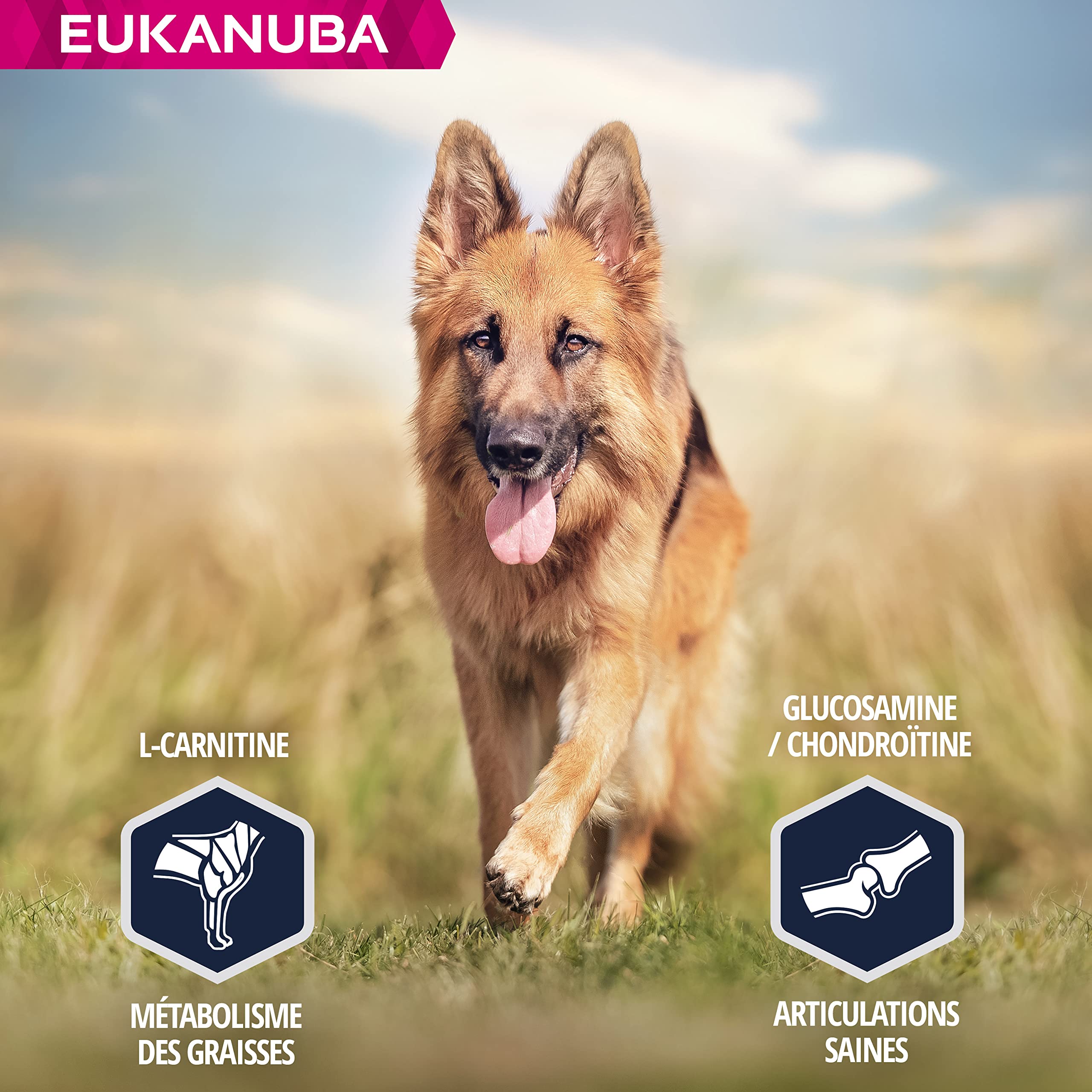 Eukanuba Chien Nourriture sèche Berger Allemand Poulet 12kg
