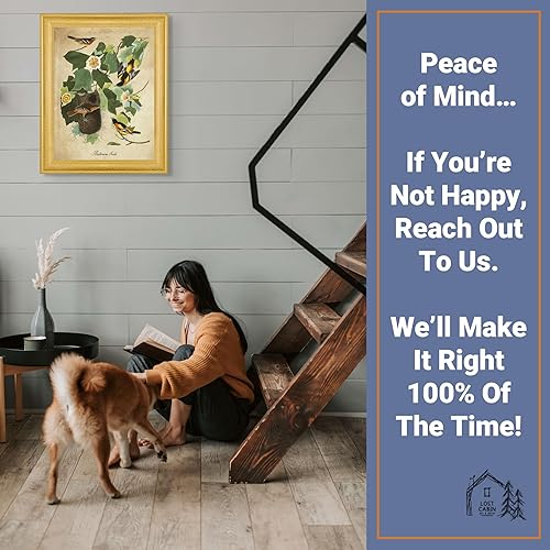 Vista 365 de Towee Bunting by James Audubon - Marco biselado negro de 12 x 16 pulgadas, decoración artística enmarcada para pared, reproducción de pinturas