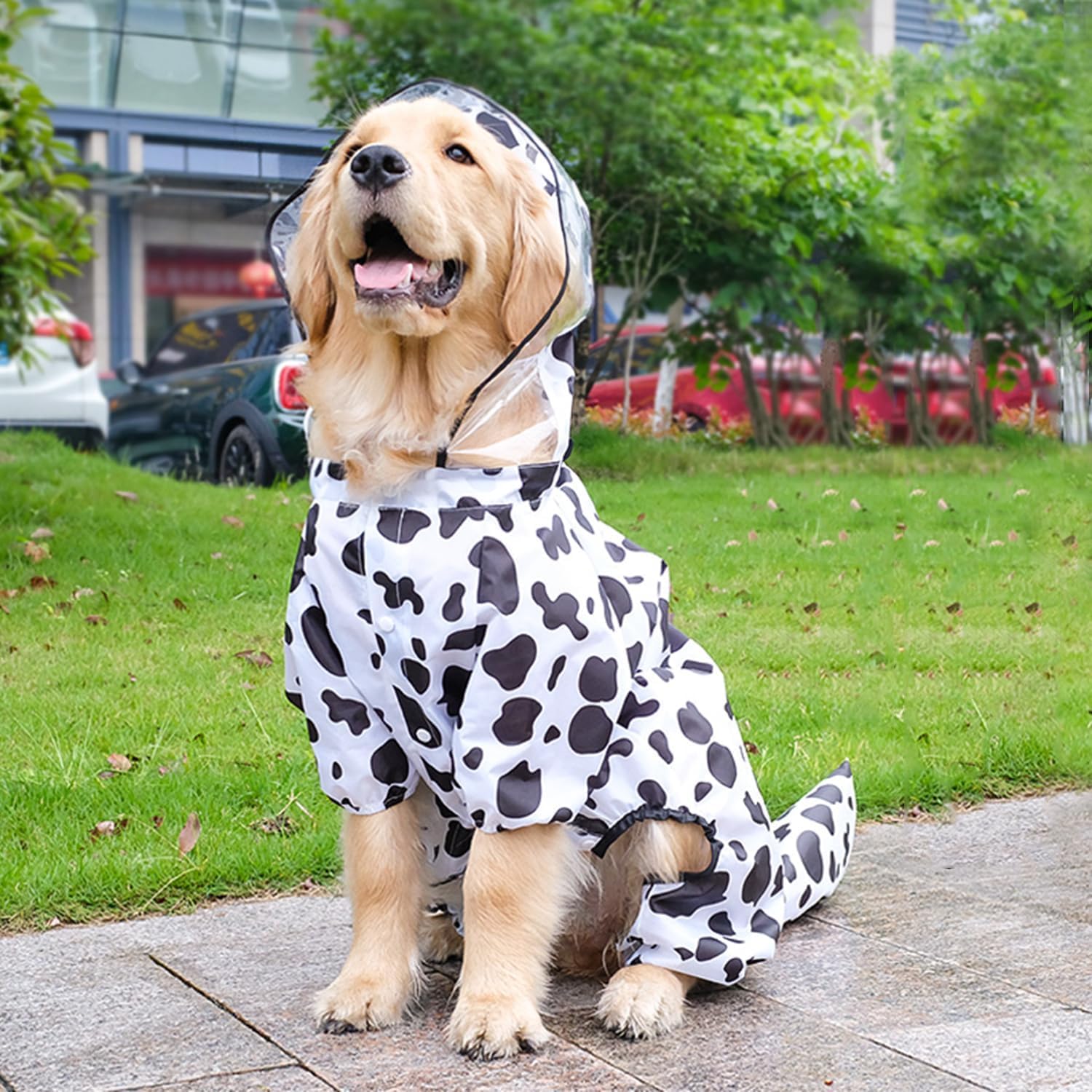 BT Bear Large Dog Raincoat - Image 2