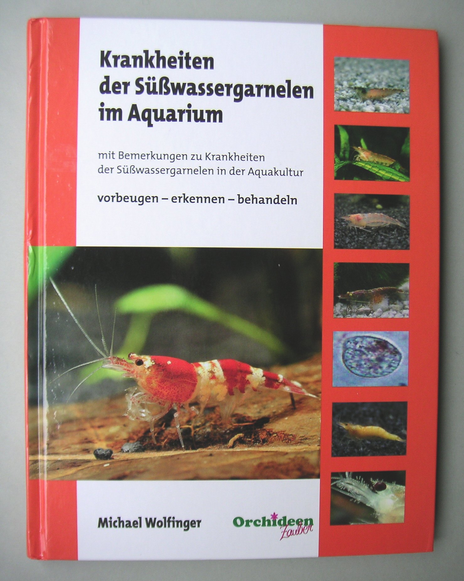 Aqua-Tropica 3000378731 freshwater shrimp diseases in the aquarium: with comments in aquaculture, prevent - detect - treat