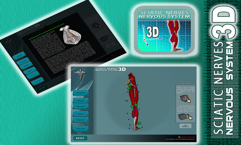 Anatomy Sciatic Nerves 3D:Amazon.co.uk:Appstore for Android