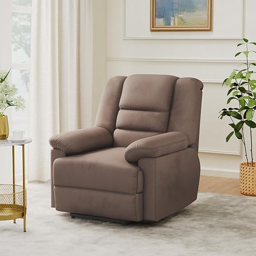 Solimo Musca 1 Seater Recliner (Brown)