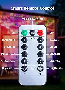 String Lights Indoor, 33Ft 80 LED Rose Flower Lights, 8 Modes Dimmable & Timeable Twinkle Lights, Festival Christmas Decorations for Bedroom Living Room, Multicolor, USB Plug, Remote