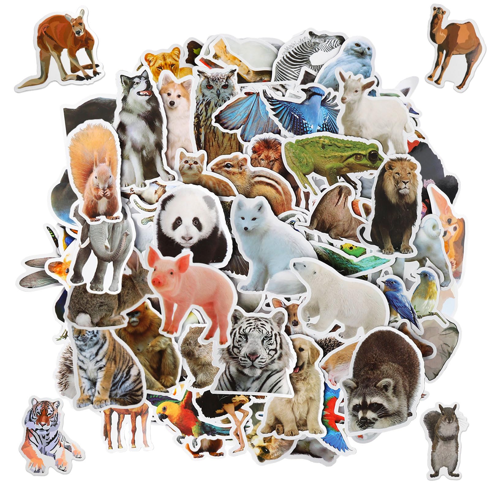 DAJISI 200Pcs Animal Stickers, Jungle Safari Zoo Animal Stickers, Realistic Zoo Animal Stickers Waterproof Wildlife Animal Faces Stickers for Kids Water Bottle Scrapbook Party Supplies
