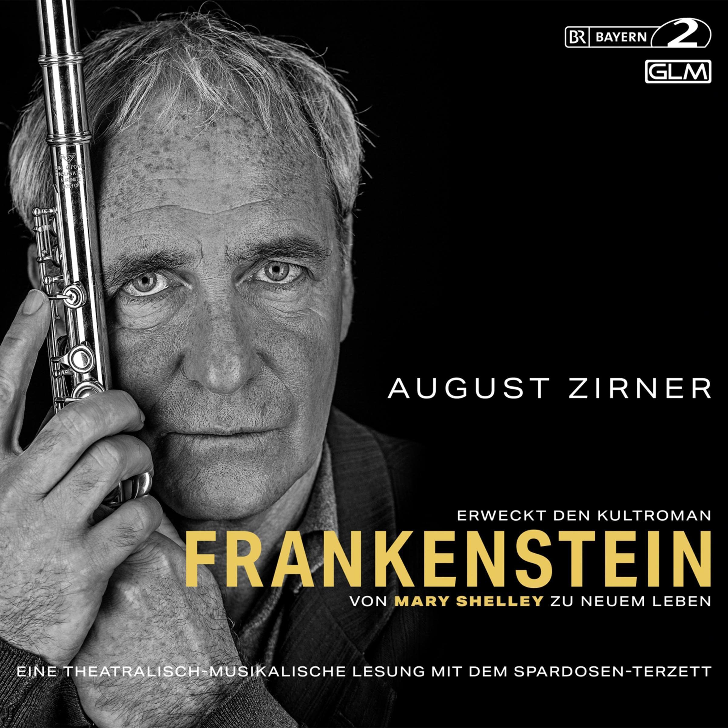 Cover art for Frankenstein
