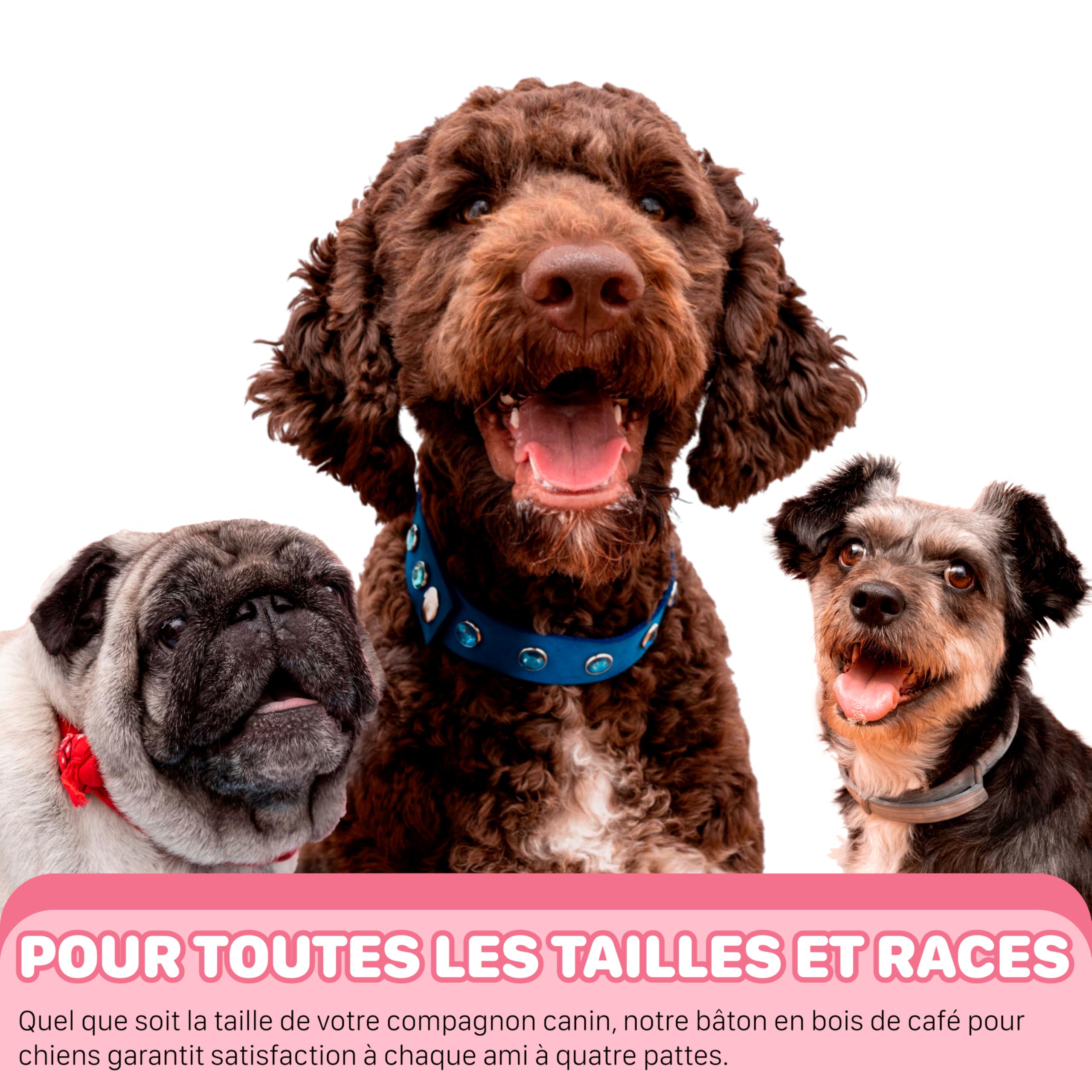 Bâton à Mâcher pour Chien et Chiots en Bois de Café, Jouet à Mâcher Durable Fabriqué à Partir de 100% d'arbre à Café Naturel, Soin Dentaire, Jouet à Mâcher Hypoallergénique L (3 pièces)