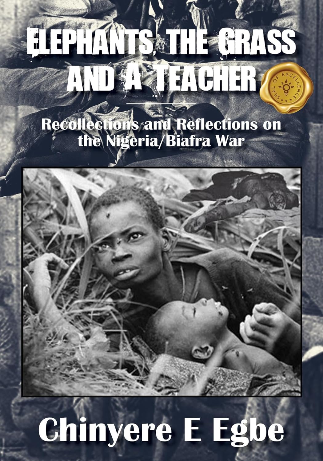 Elephants, the Grass and A Teacher: Recollections and Reflections on the Nigeria/Biafra War      Kindle Edition