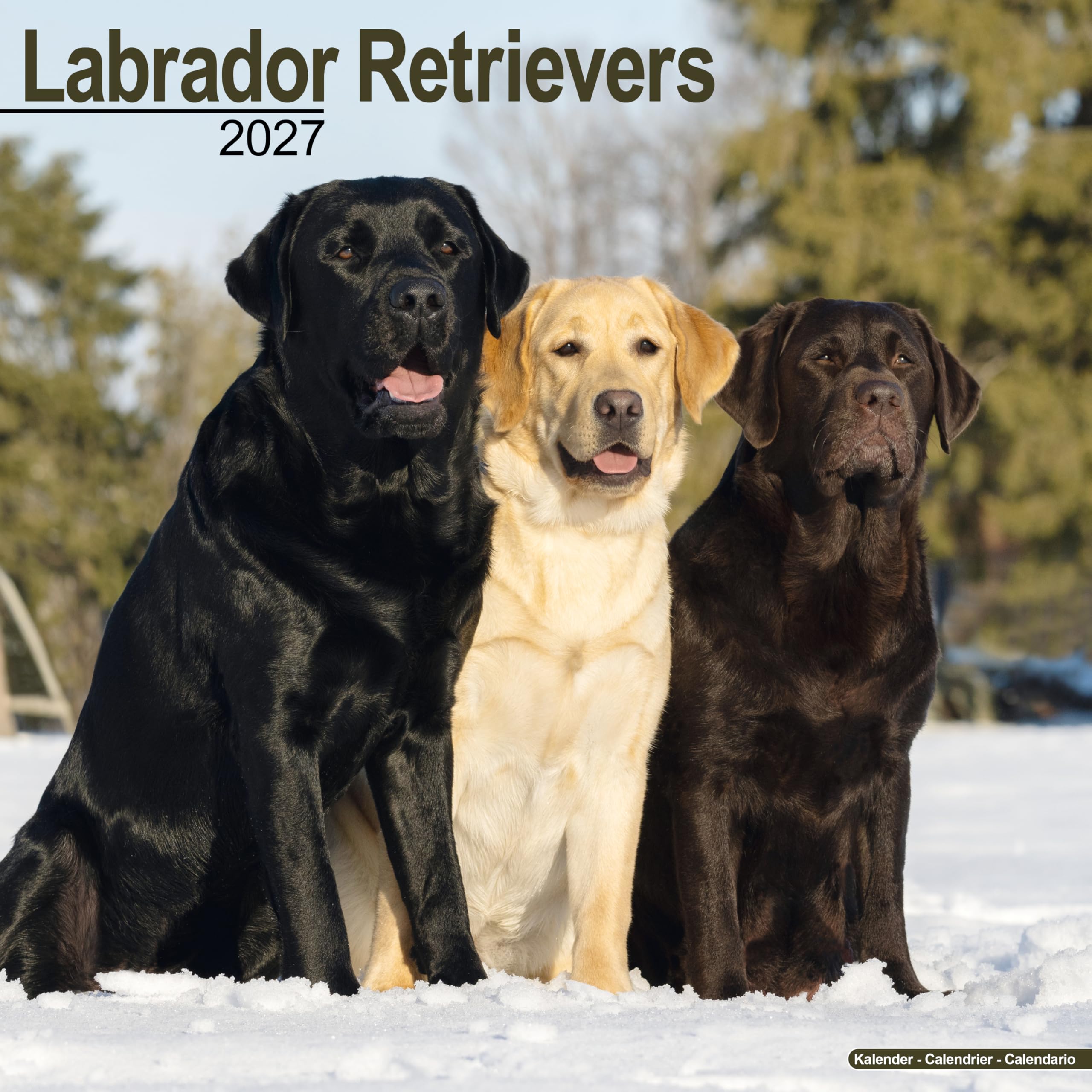 Labrador Retrievers Calendar 2027