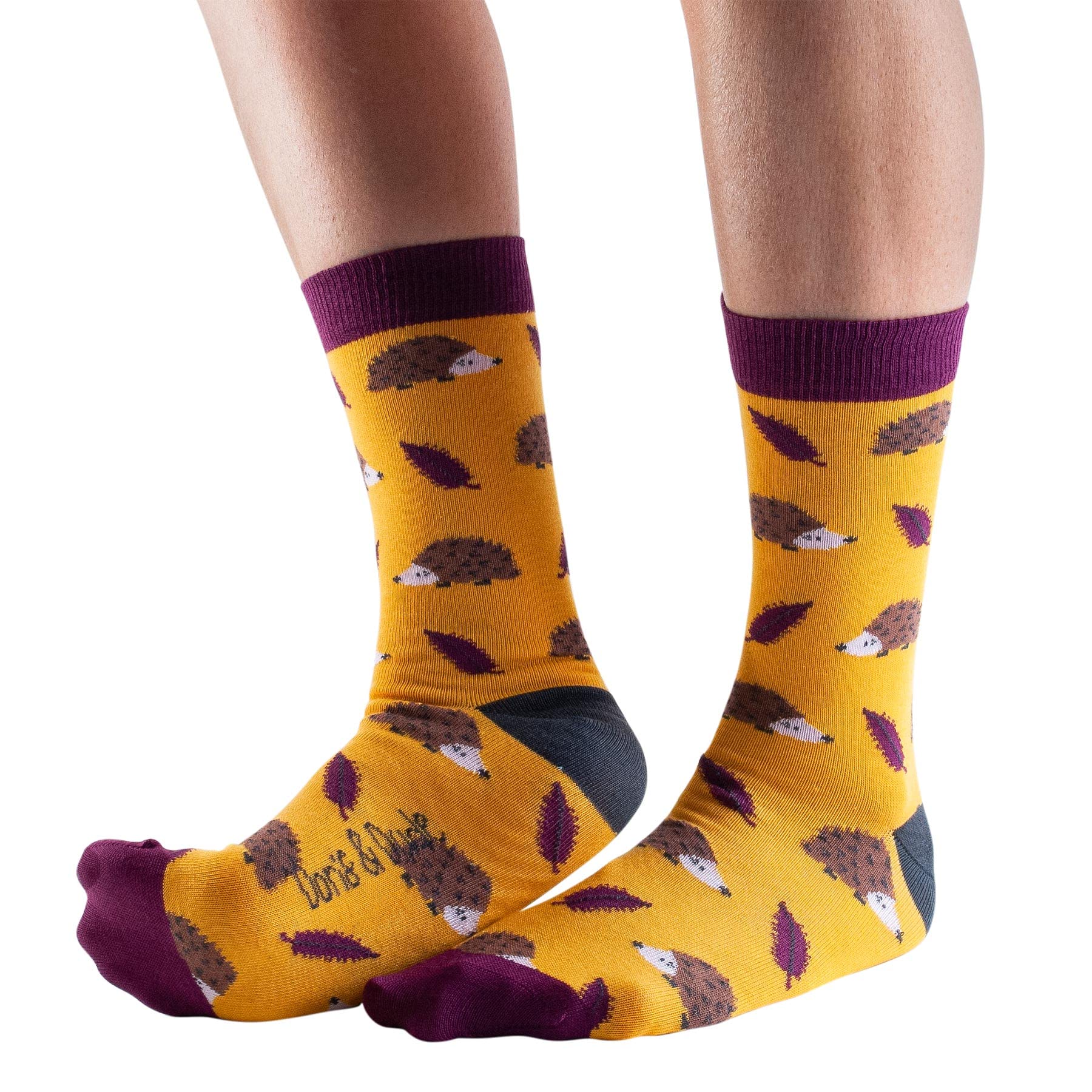Doris & Dude Women Bamboo Crew Socks Hedgehogs 1 Pair Med 3-7 Gold Hedgehog Autumn