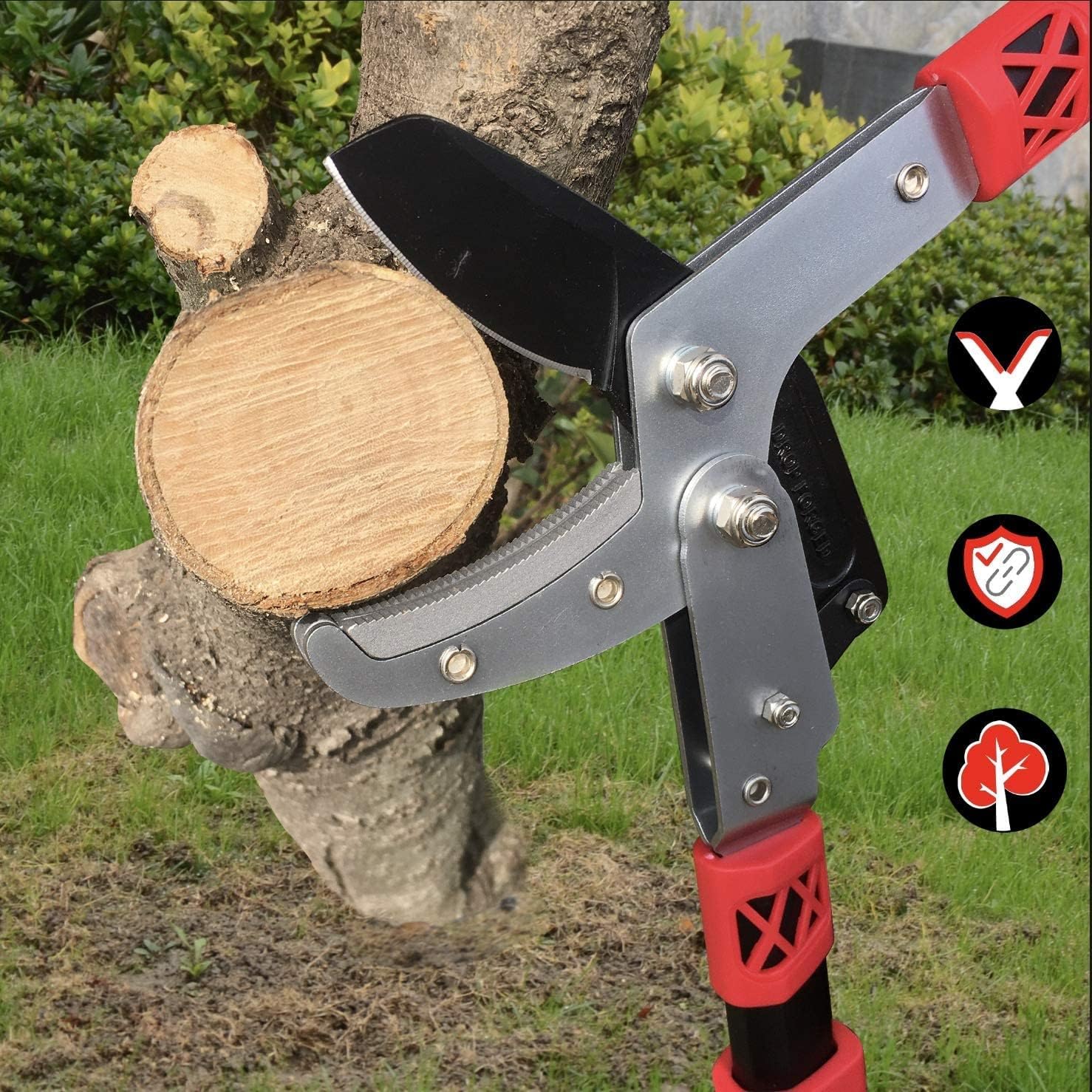 Best Telescopic Tree Loppers Reviews By Wirecutter