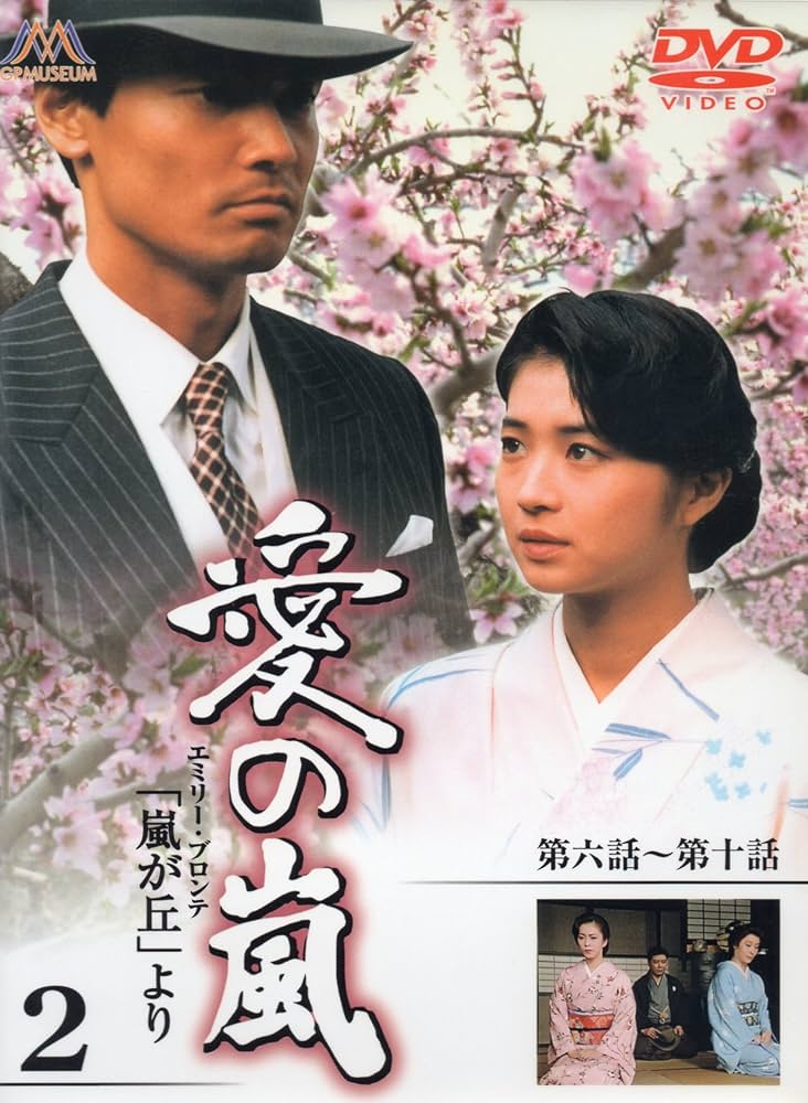 レア！愛の嵐DVDフルセット14本（全69話） レア！愛の嵐DVDフル