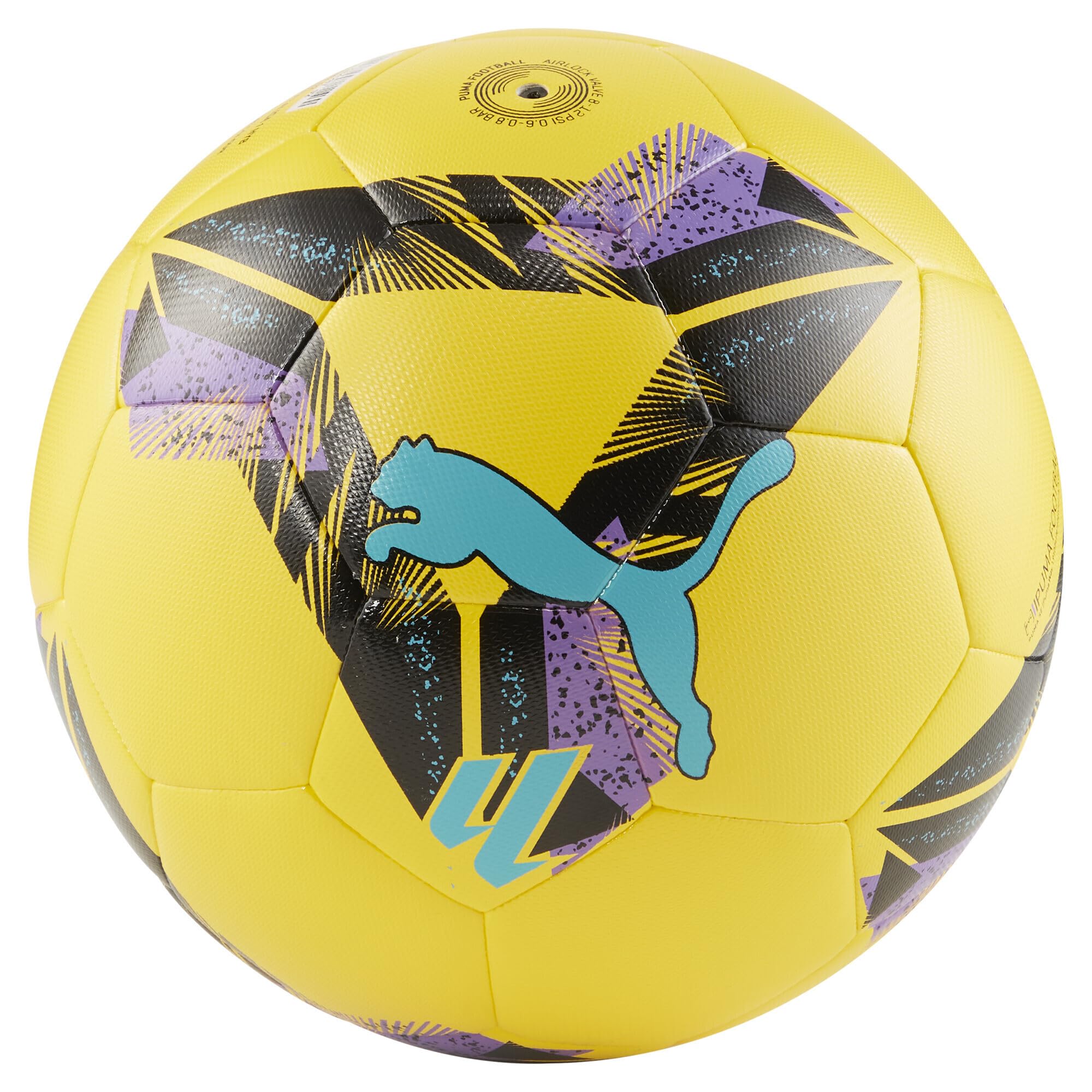 Puma — view 2