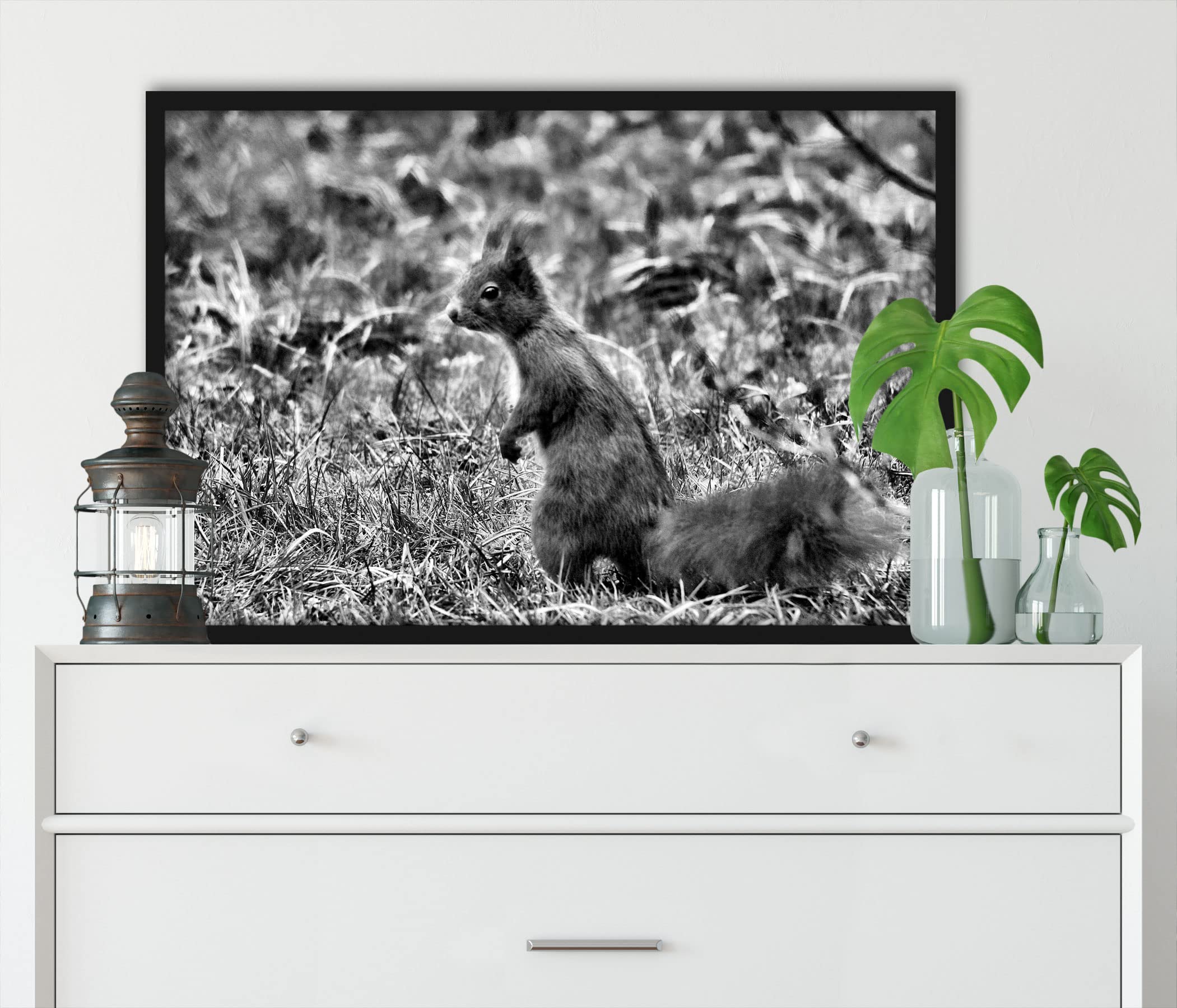 Pixxprint Eichhörnchen auf Boden, Poster im Bilderrahmen, Format: 100x70cm, Kunstdruck gerahmt