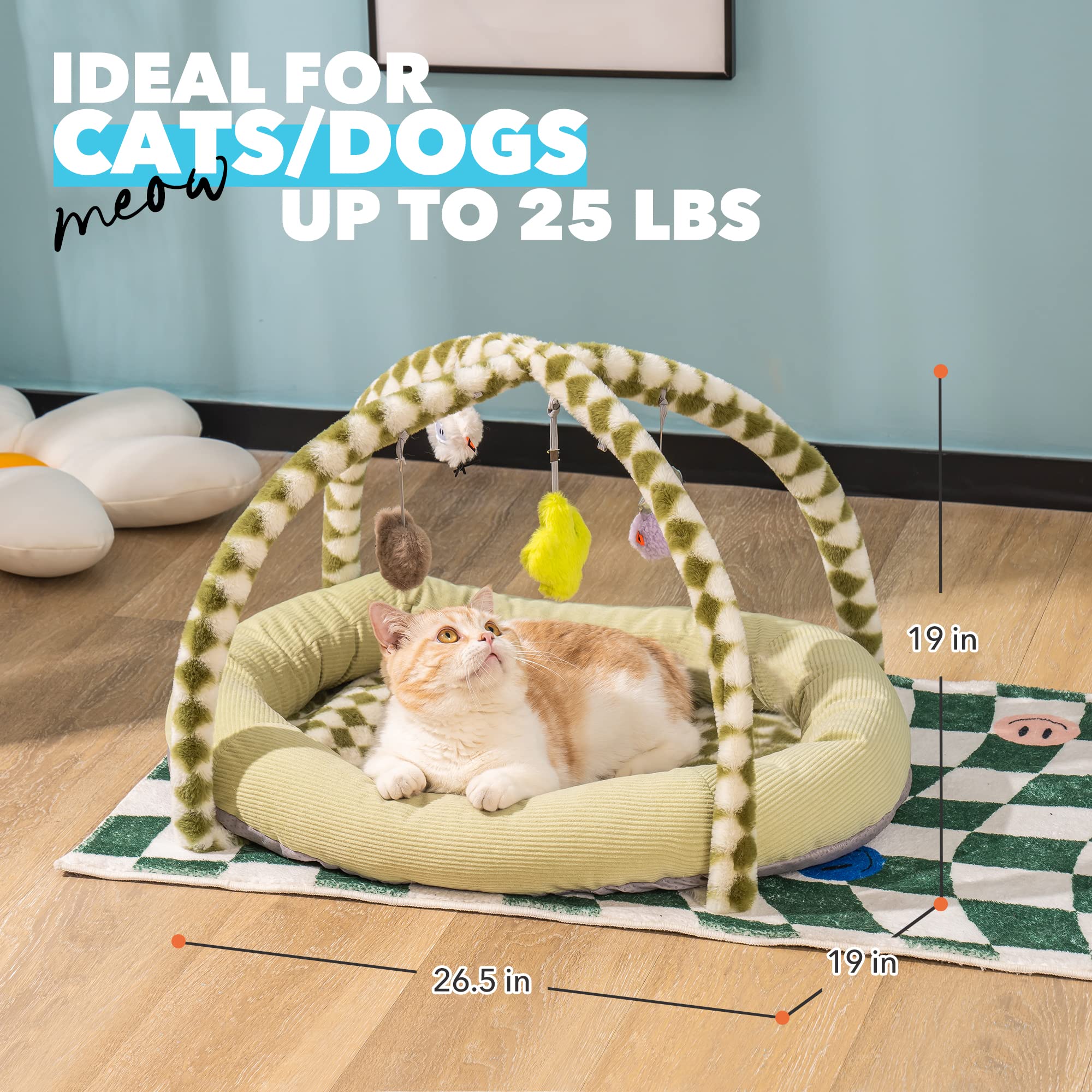 https://m.media-amazon.com/images/I/812tcSzSnlL.jpg
