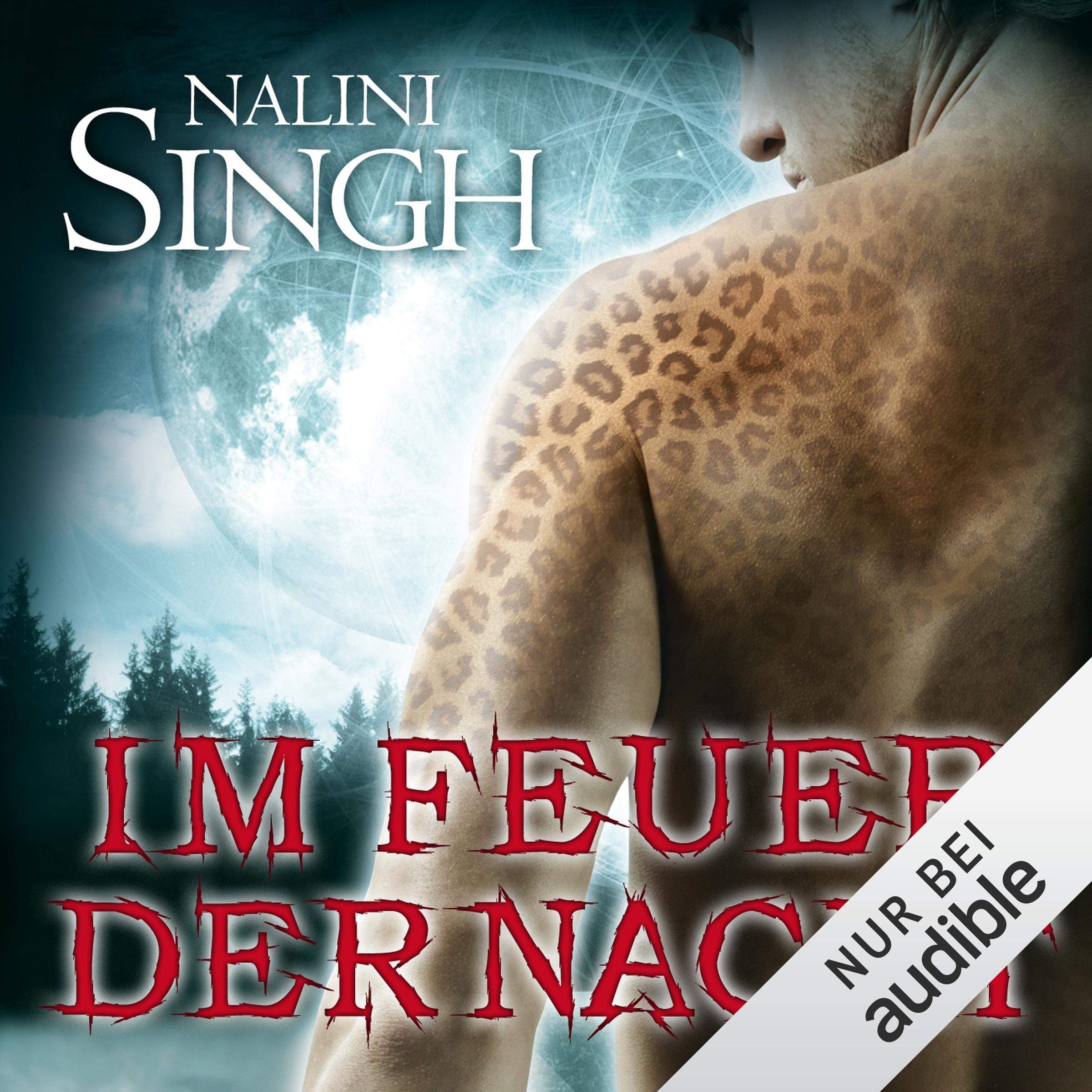 Cover art for Im Feuer der Nacht