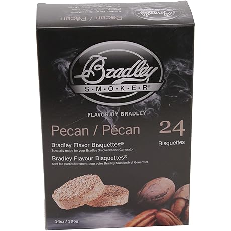 Bradley Smoker Pecan Bisquettes for Grilling & BBQ, 24 Pack