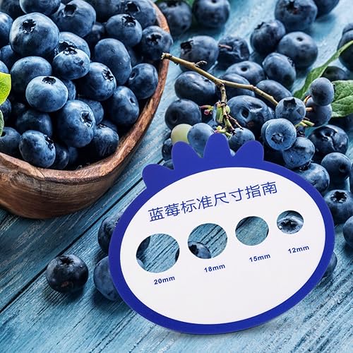 Miniatura 7 de 12 tarjetas de medición de diámetro de arándanos, tarjeta de medición de diámetro de fruta, tarjeta de medición de diámetro para granja de