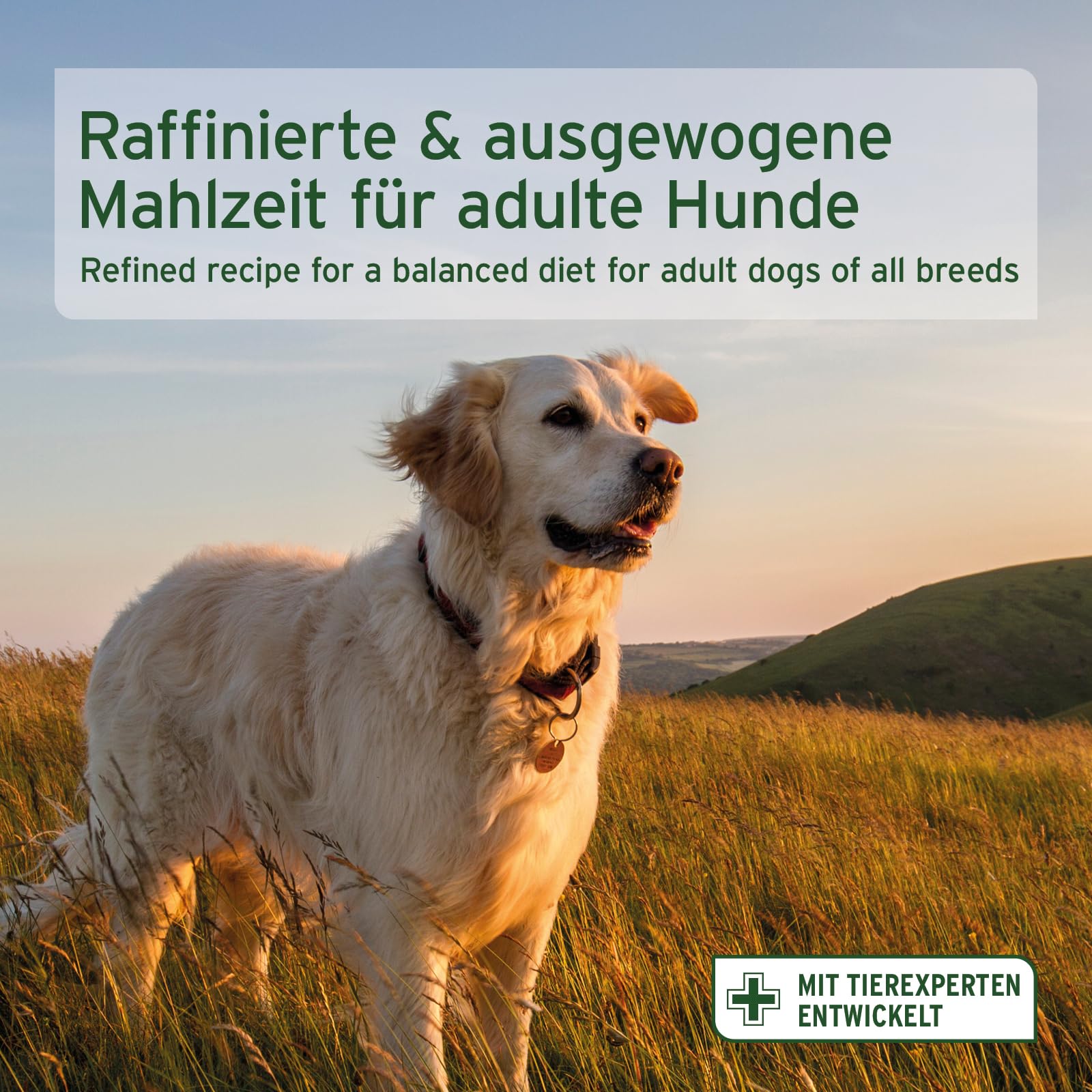 AniForte Lachs Trockenfutter für Hunde 12,5kg – Frischer Lachs mit Kartoffeln & Vitaminen, Halbfeuchtes Trockenfutter, Hundefutter trocken getreidefrei & glutenfrei für Allergiker