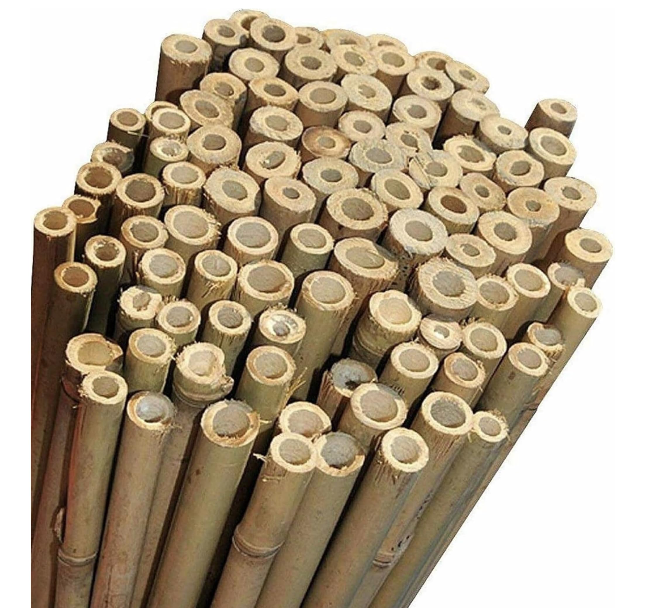 NG NICCOLAI - CANNE BAMBOO PER SOSTEGNO ORTAGGI, ARREDAMENTO E ALTRI USI - VARIE ALTEZZE E MISURE CONFEZIONI DA 10-25 - 50 PEZZI (10, H. 250 cm - Ø 20-22 mm)