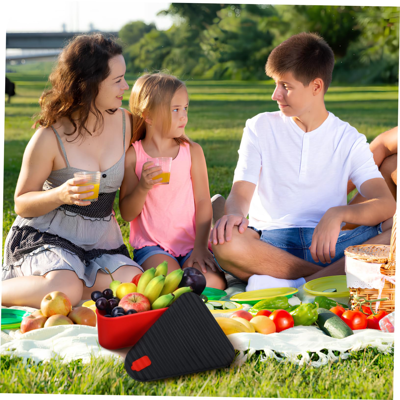 COLLBATH Triangle Pizza Carrier Pizza Holder Leftovers Reusable Storage Freezer Organizer Food Storage Container Set