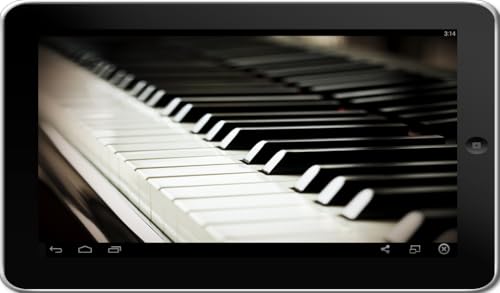 piano forte 2016