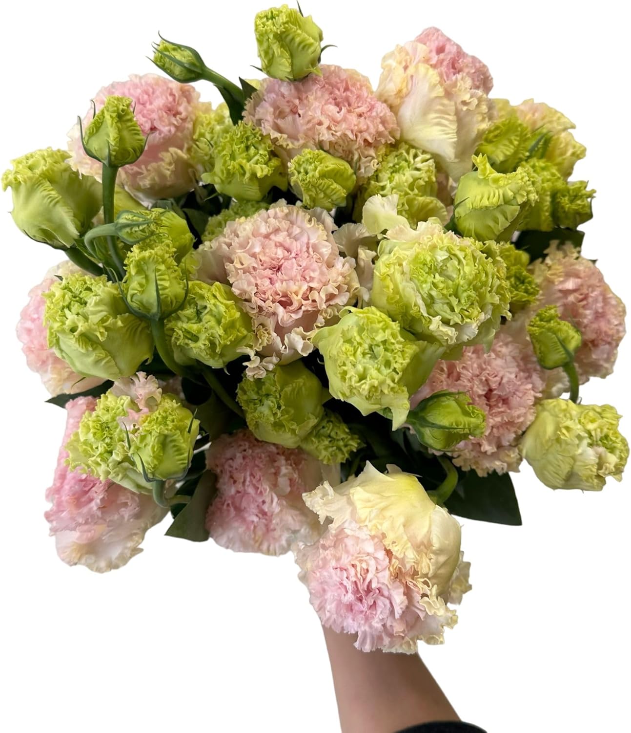 10-Stem Grade A Wavy Lisianthus Fresh Cut Flower Bouquet for Home Decor Birthdays Anniversaries Healing Sympathy Friendship and Love