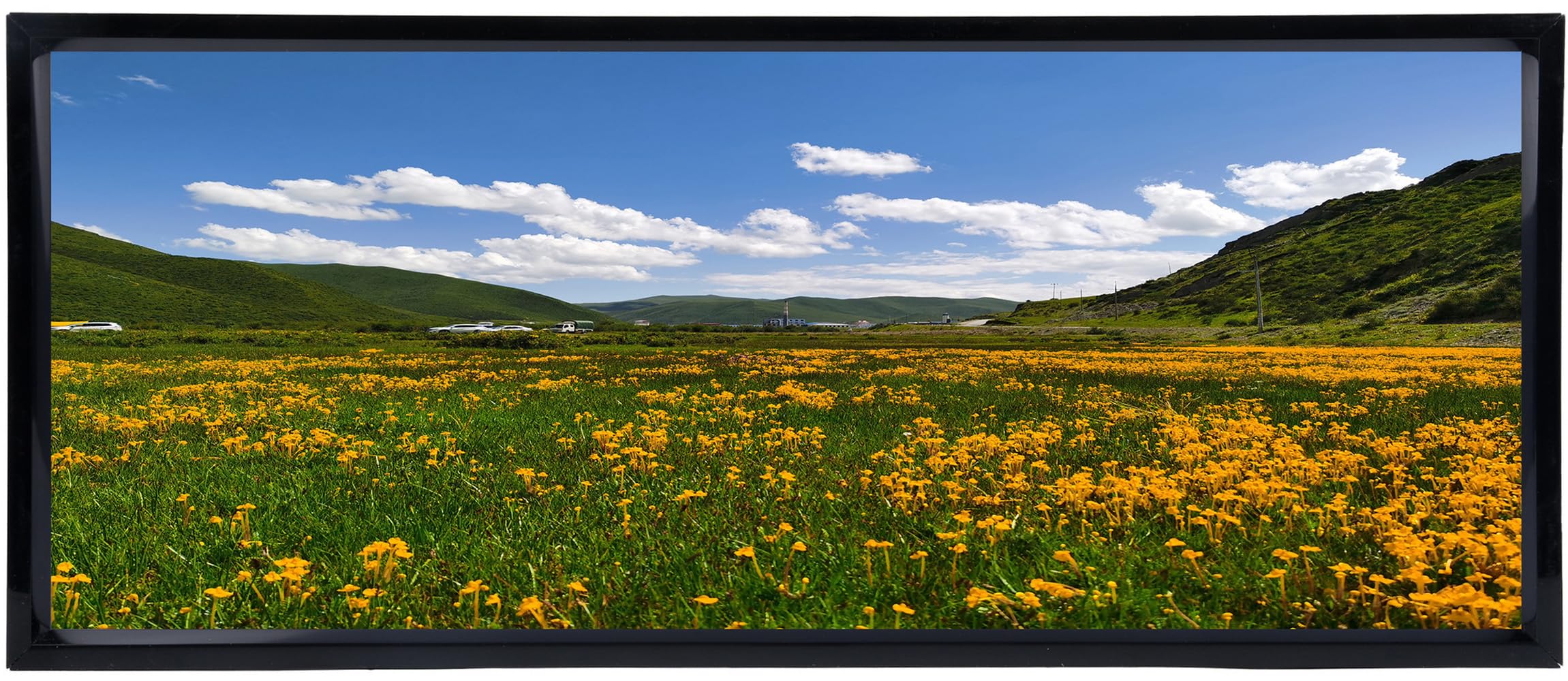 Aynoo 8x20 Picture Frame Black, Display Pictures 8x20 Collage Picture Frame Black, Mat opening Four 4x6 Galley Frame